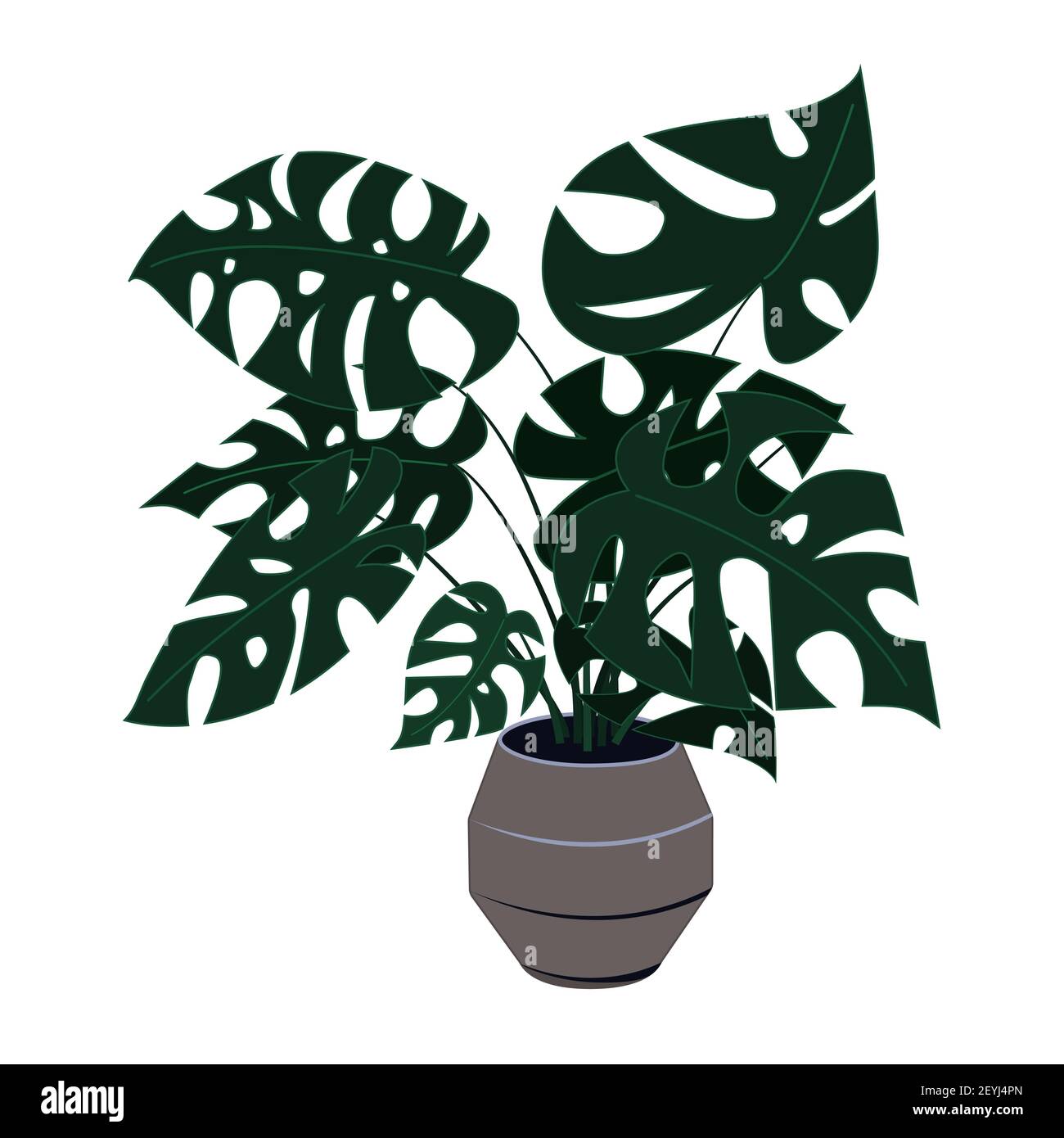 Plante de monstère tropicale dans un pot. La décoration de la maison et du bureau est un palmier exotique avec de grandes feuilles. Illustration vectorielle - isoler sur un blanc Illustration de Vecteur