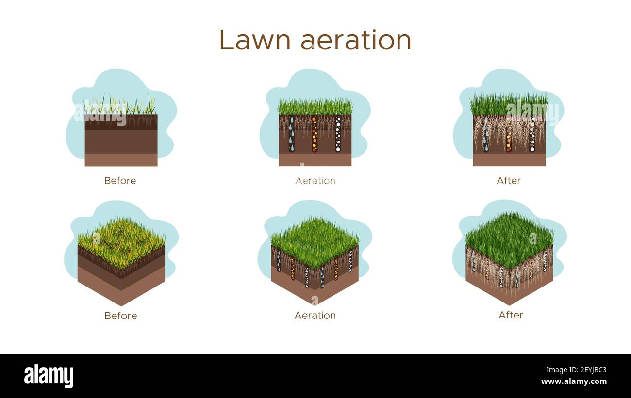 Entretien des pelouses - aération et scarification. Libellés par étape avant, pendant et après. L'apport de substances - eau, oxygène et nutriments pour nourrir l'herbe Illustration de Vecteur