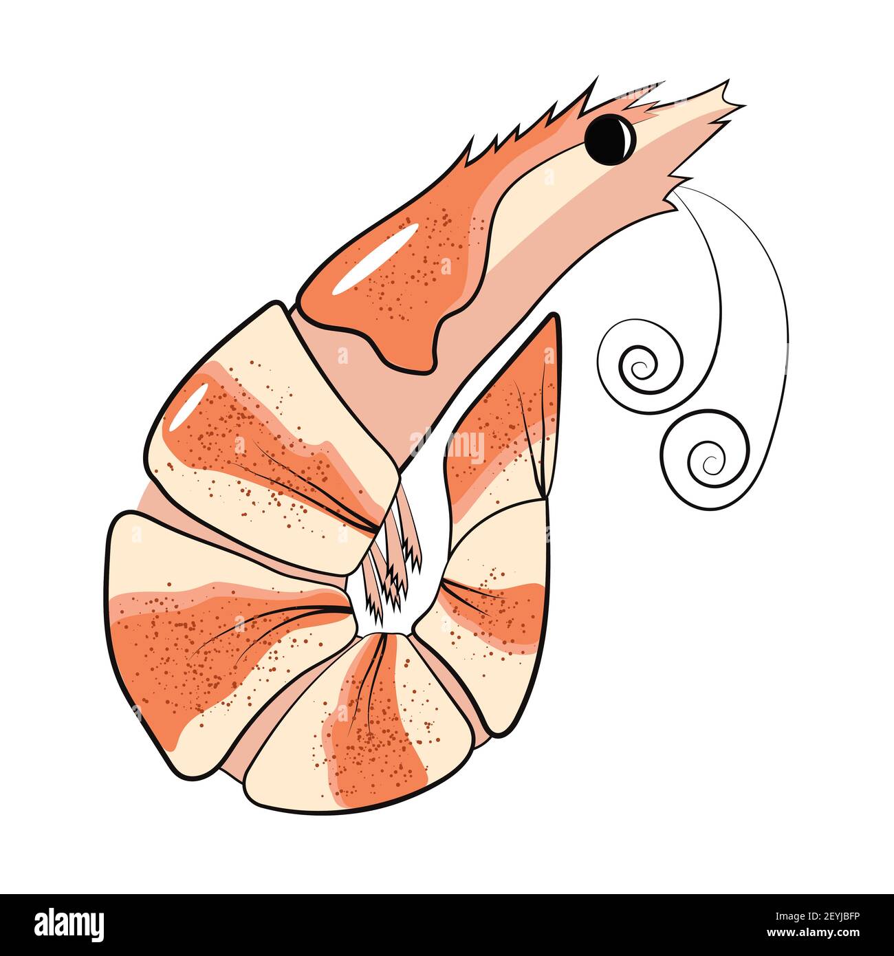 Crevettes non pelées repas oriental traditionnel japonais cuit, crevettes crues en-cas savoureux de bière. Illustration vectorielle dessinée à la main dans un style de dessin animé plat, poure Illustration de Vecteur