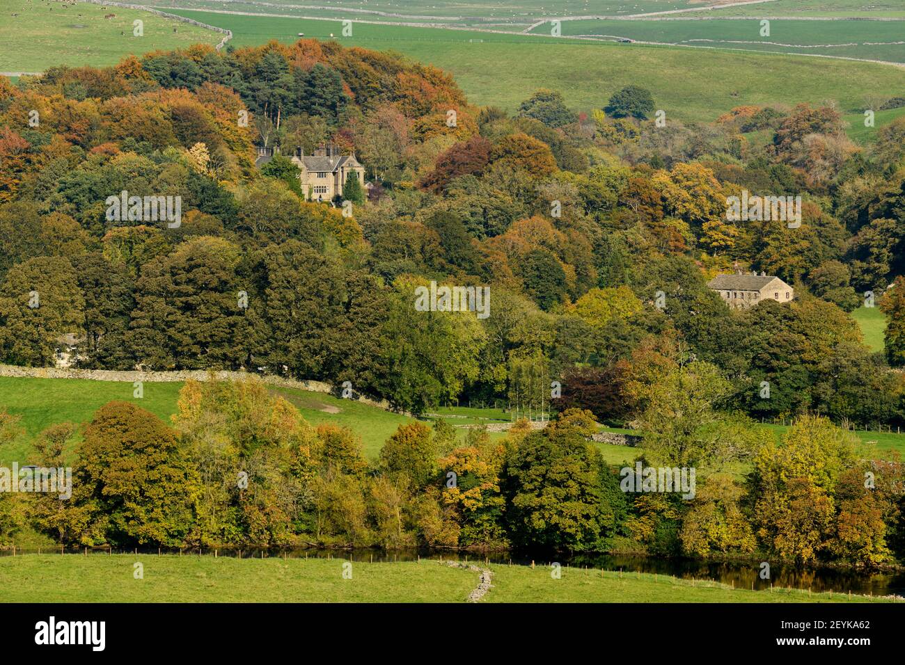 Pittoresque Wharfedale automne (rivière Wharfe, maisons nichées dans les bois à flanc de colline, feuillage coloré sur les arbres, champs de montagne - Yorkshire Dales, Angleterre, Royaume-Uni Banque D'Images