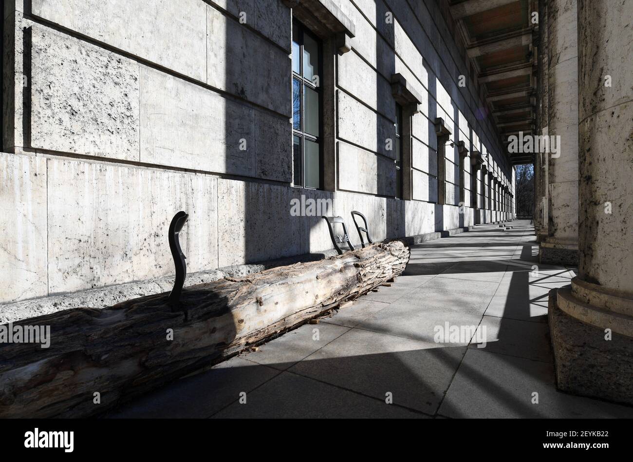 06 mars 2021, Bavière, Munich: Un tronc d'arbre avec des chaises se trouve dans la zone d'entrée de la "Haus der Kunst". Le bâtiment de l'exposition et d'autres musées seront ouverts aux visiteurs inscrits après le confinement en raison de la pandémie de Corona de 08.03.2021. Photo: Tobias Hase/dpa Banque D'Images