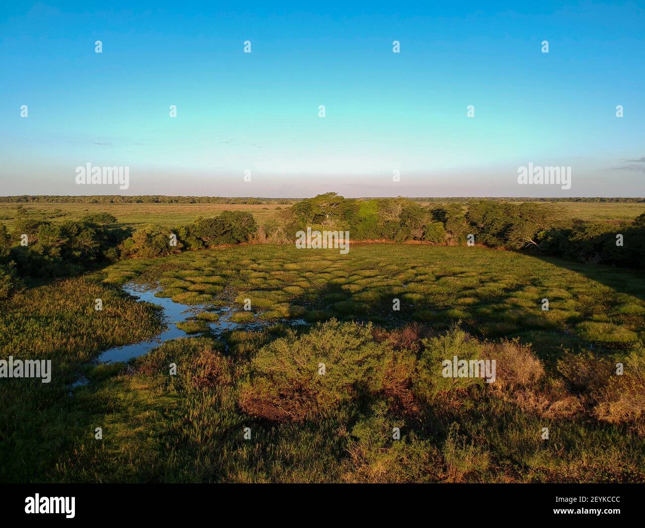 Vue aérienne de Pantanal, Mato Grosso, Brésil. Banque D'Images