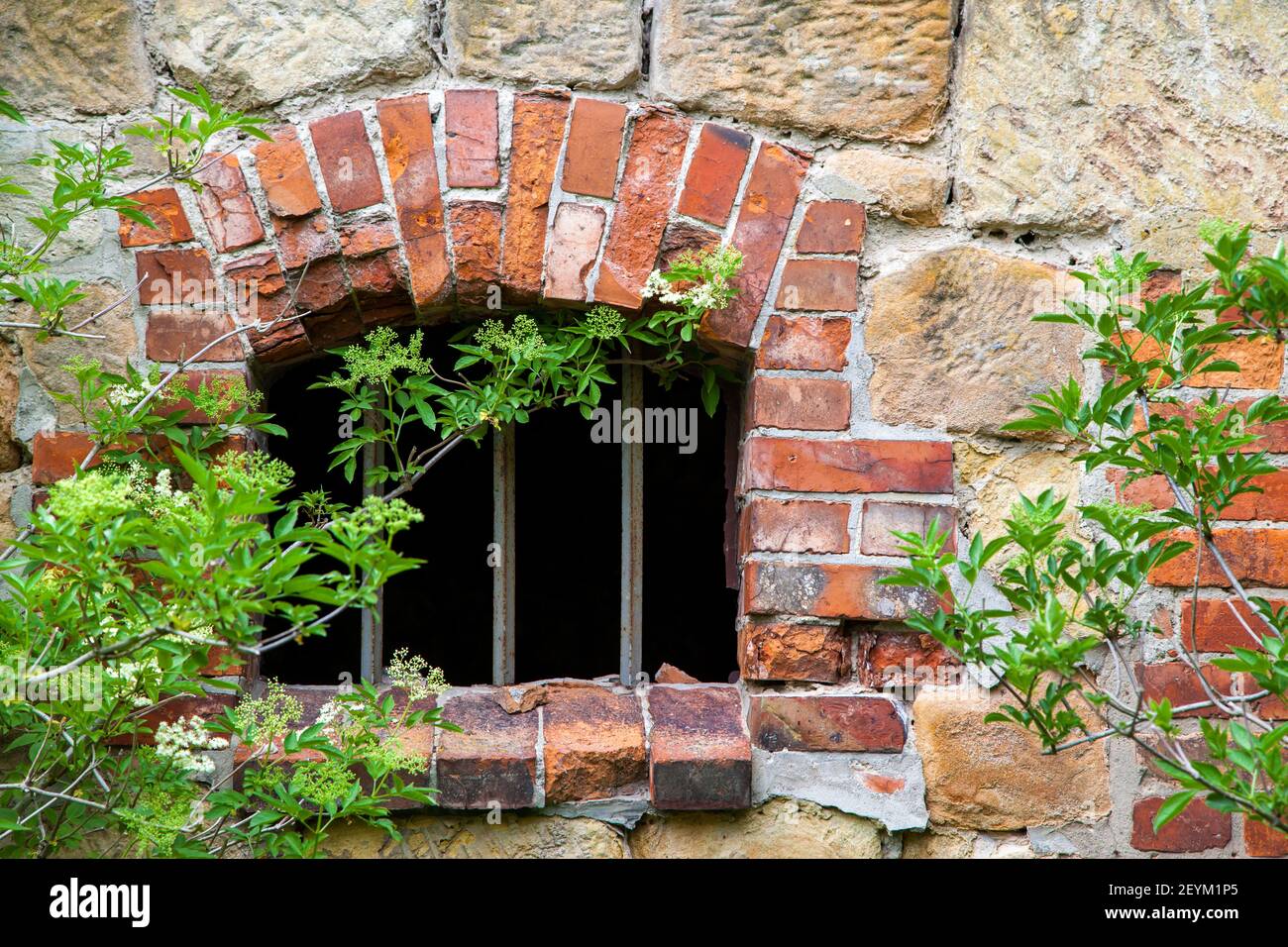 Konzentrationslager Halberstadt Langestein Zwieberge Harz Banque D'Images