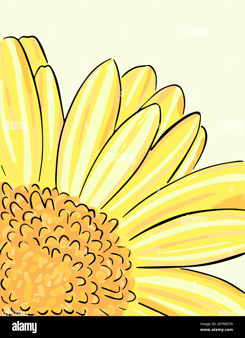Grand gerbera lumineux. Partie d'une fleur de jardin.Vector. Fleur jaune vif. Illustration de Vecteur