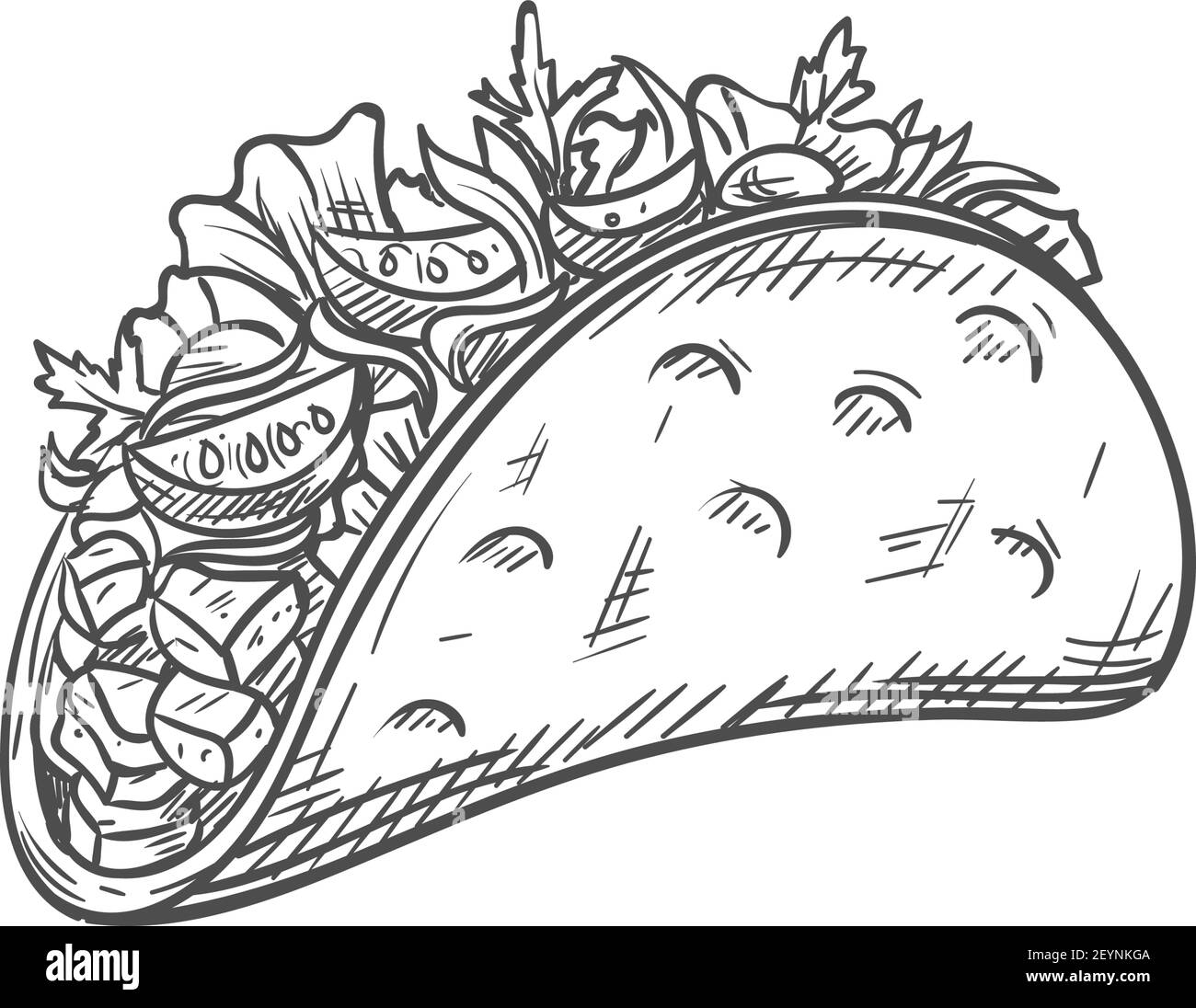 Tacos ou burritos isolé cuisine mexicaine croquis. En-cas Vector fastfood, tortilla frite avec laitue, tomate et viande Illustration de Vecteur