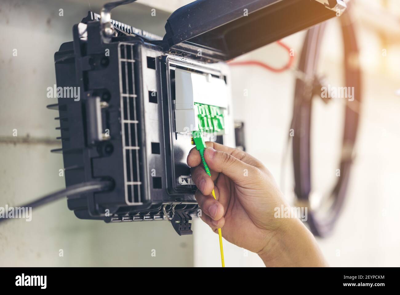 Faites réparer les fibres sur le plateau séparateur en gros plan à l'extérieur Banque D'Images