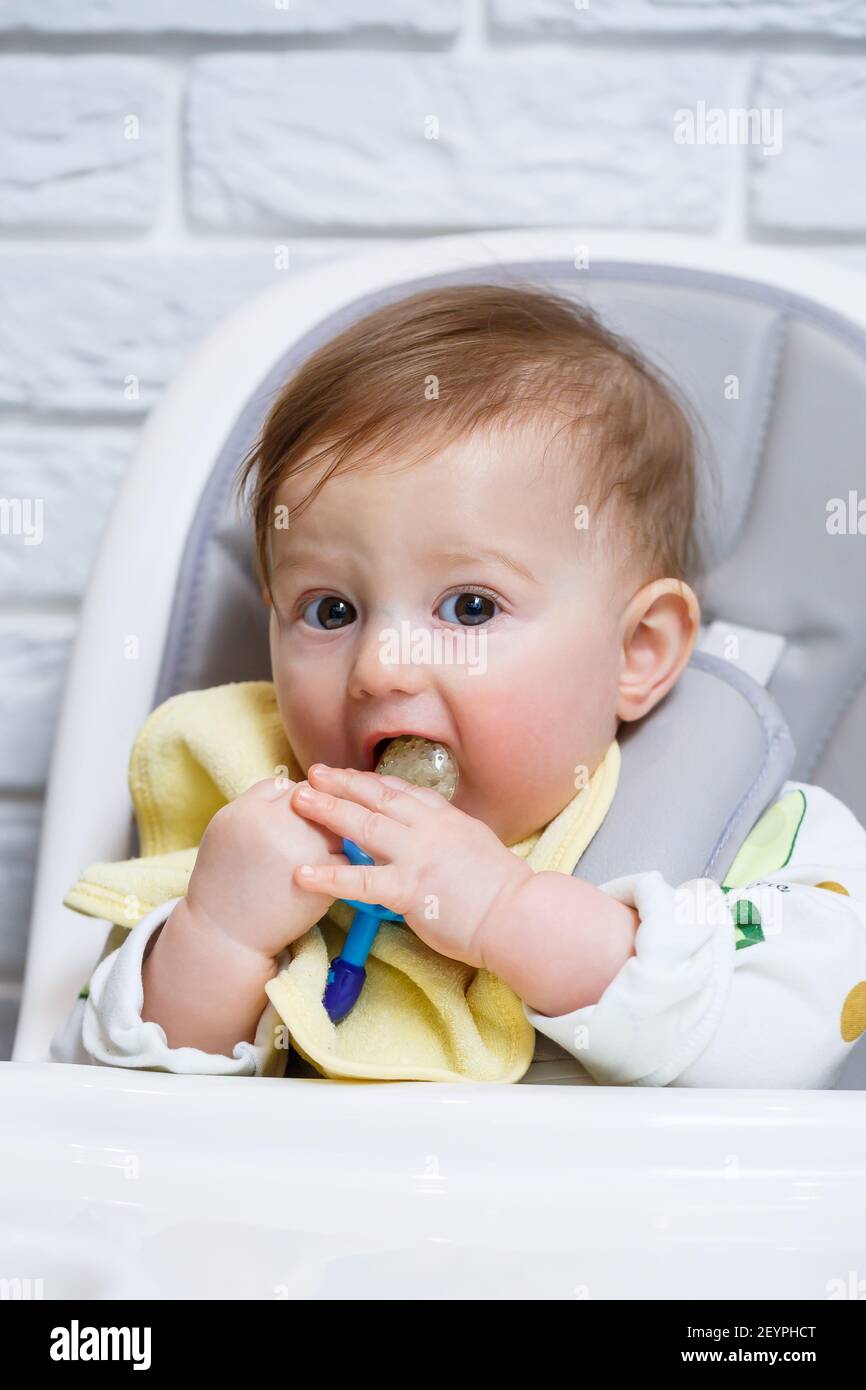 Un petit enfant est assis sur une chaise haute et mange des fruits par le  filet. Grignoteuse pour nourrir les bébés Photo Stock - Alamy