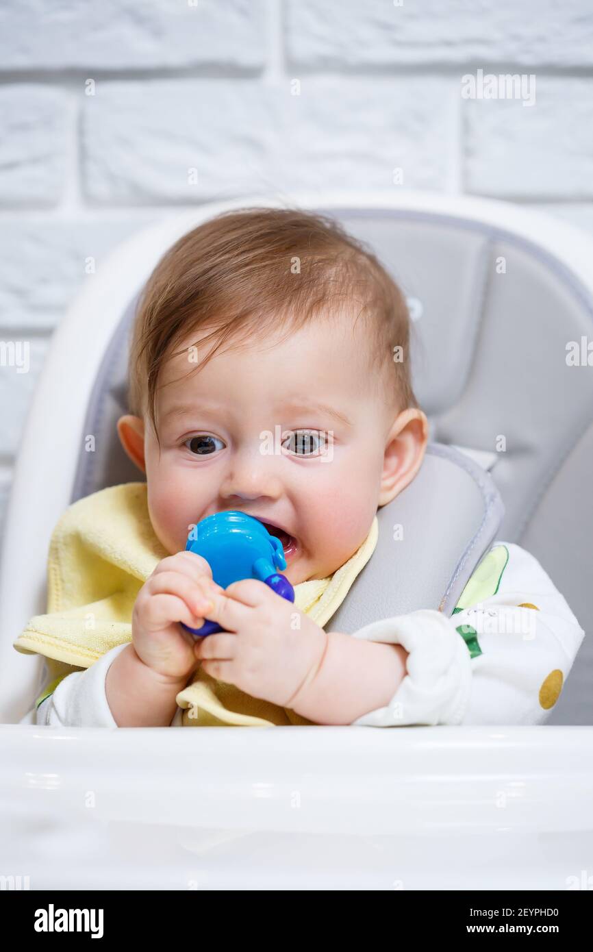 Un Petit Enfant Est Assis Sur Une Chaise Haute Et Mange Des Fruits Par Le Filet Grignoteuse Pour Nourrir Les Bebes Photo Stock Alamy Un Petit Enfant Est Assis Sur Une Chaise Haute Et Mange Des Fruits Par Le Filet Grignoteuse Pour Nourrir Les Bebes Photo Stock Alamy