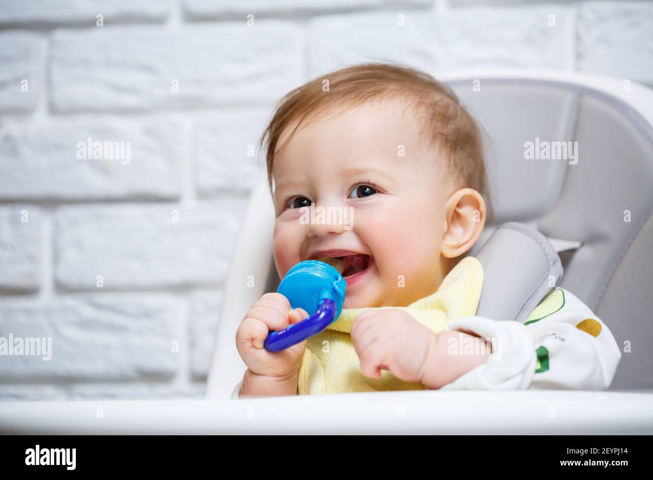 Un Petit Enfant Est Assis Sur Une Chaise Haute Et Mange Des Fruits Par Le Filet Grignoteuse Pour Nourrir Les Bebes Photo Stock Alamy Un Petit Enfant Est Assis Sur Une Chaise Haute Et Mange Des Fruits Par Le Filet Grignoteuse Pour Nourrir Les Bebes Photo Stock Alamy