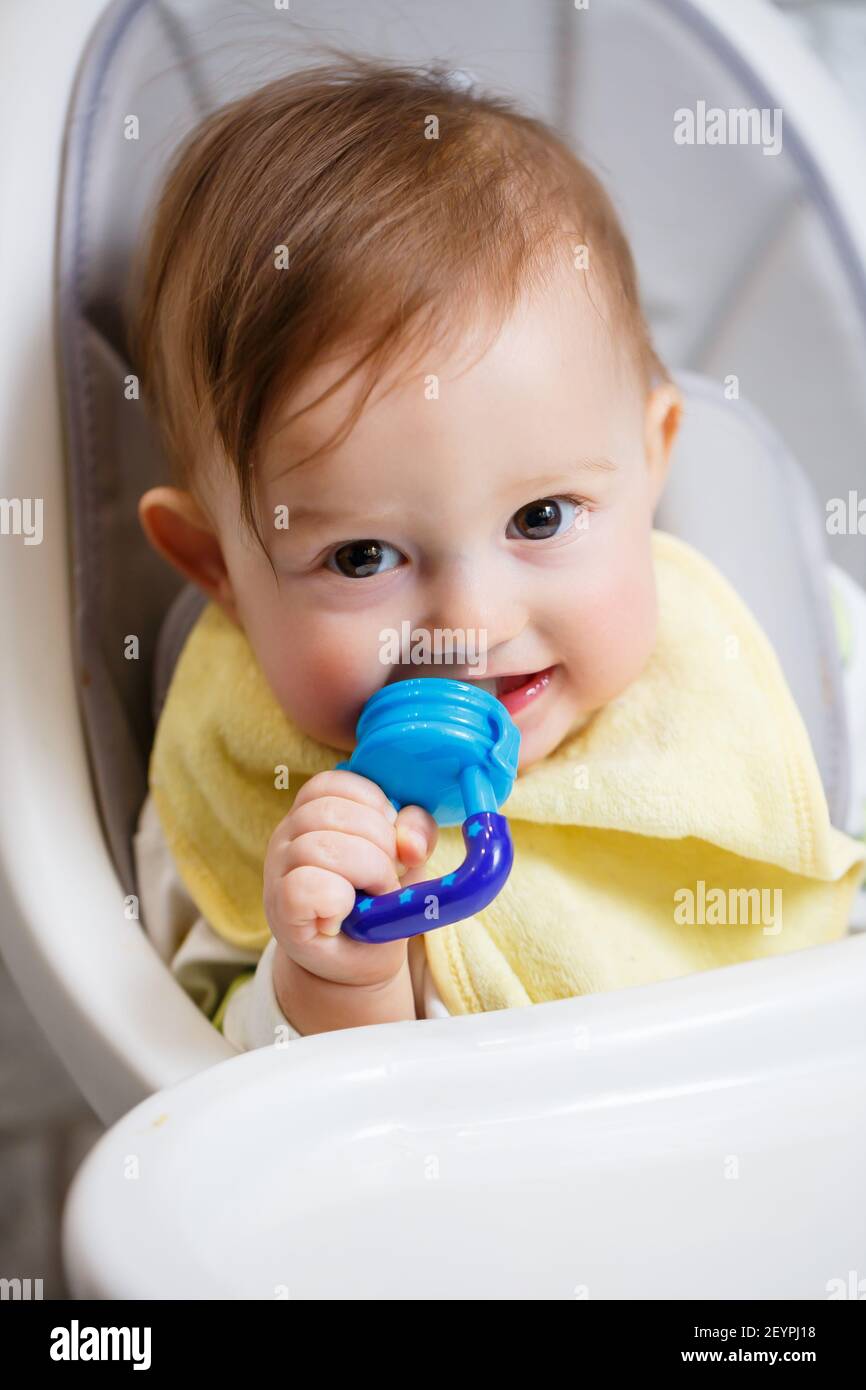 Un Petit Enfant Est Assis Sur Une Chaise Haute Et Mange Des Fruits Par Le Filet Grignoteuse Pour Nourrir Les Bebes Photo Stock Alamy Un Petit Enfant Est Assis Sur Une Chaise Haute Et Mange Des Fruits Par Le Filet Grignoteuse Pour Nourrir Les Bebes Photo Stock Alamy