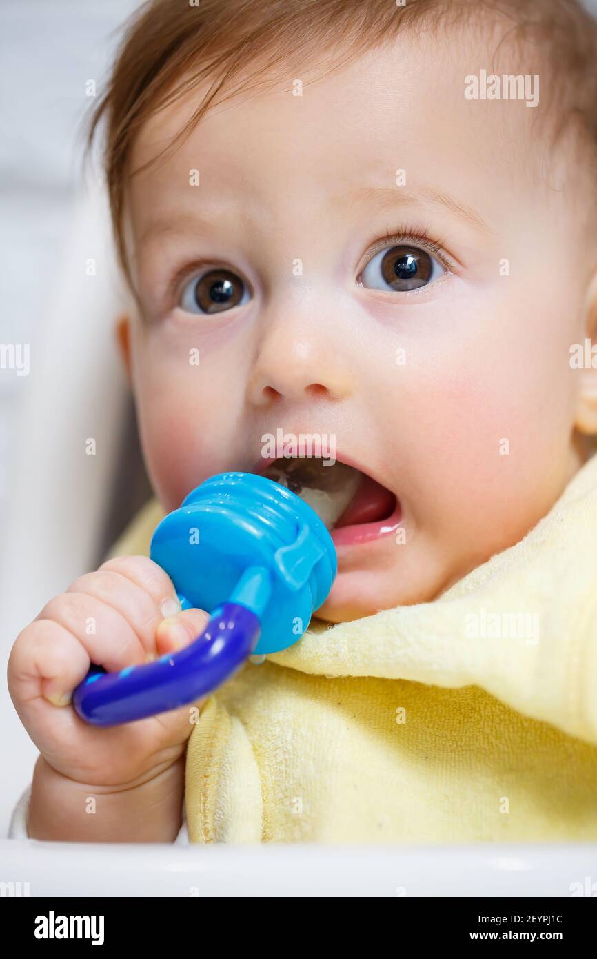 Un Petit Enfant Est Assis Sur Une Chaise Haute Et Mange Des Fruits Par Le Filet Grignoteuse Pour Nourrir Les Bebes Photo Stock Alamy Un Petit Enfant Est Assis Sur Une Chaise Haute Et Mange Des Fruits Par Le Filet Grignoteuse Pour Nourrir Les Bebes Photo Stock Alamy