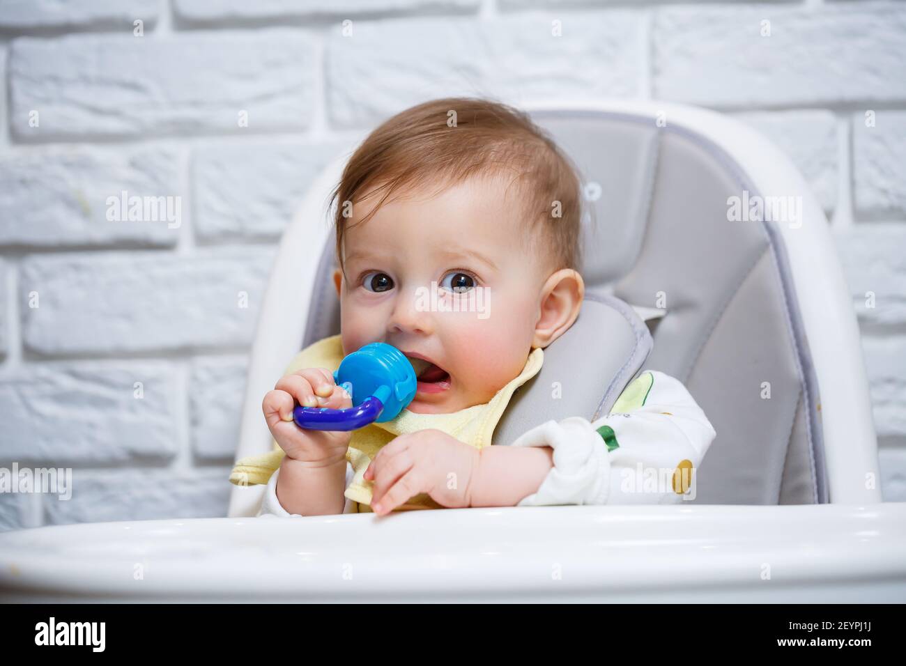 Un Petit Enfant Est Assis Sur Une Chaise Haute Et Mange Des Fruits Par Le Filet Grignoteuse Pour Nourrir Les Bebes Photo Stock Alamy Un Petit Enfant Est Assis Sur Une Chaise Haute Et Mange Des Fruits Par Le Filet Grignoteuse Pour Nourrir Les Bebes Photo Stock Alamy