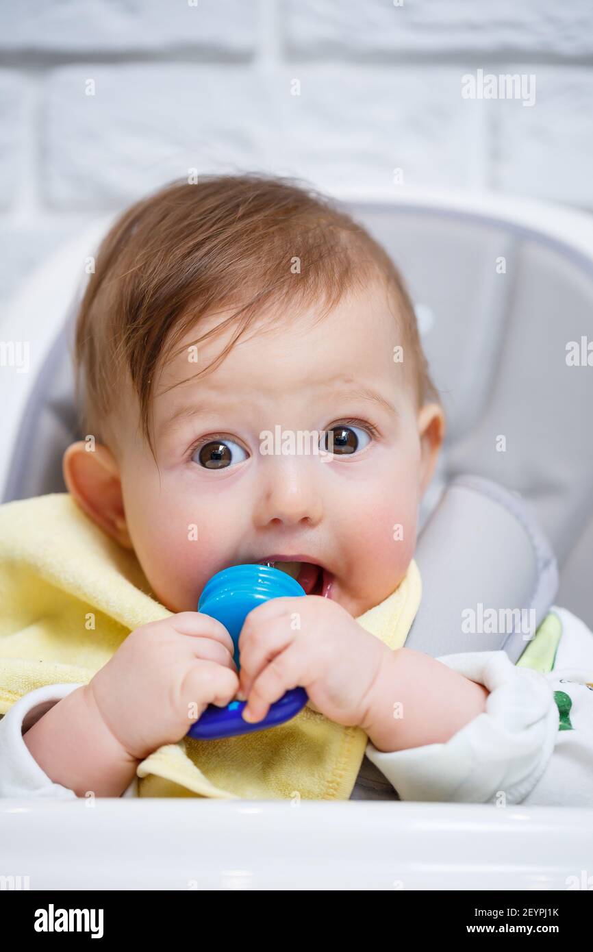 Un Petit Enfant Est Assis Sur Une Chaise Haute Et Mange Des Fruits Par Le Filet Grignoteuse Pour Nourrir Les Bebes Photo Stock Alamy