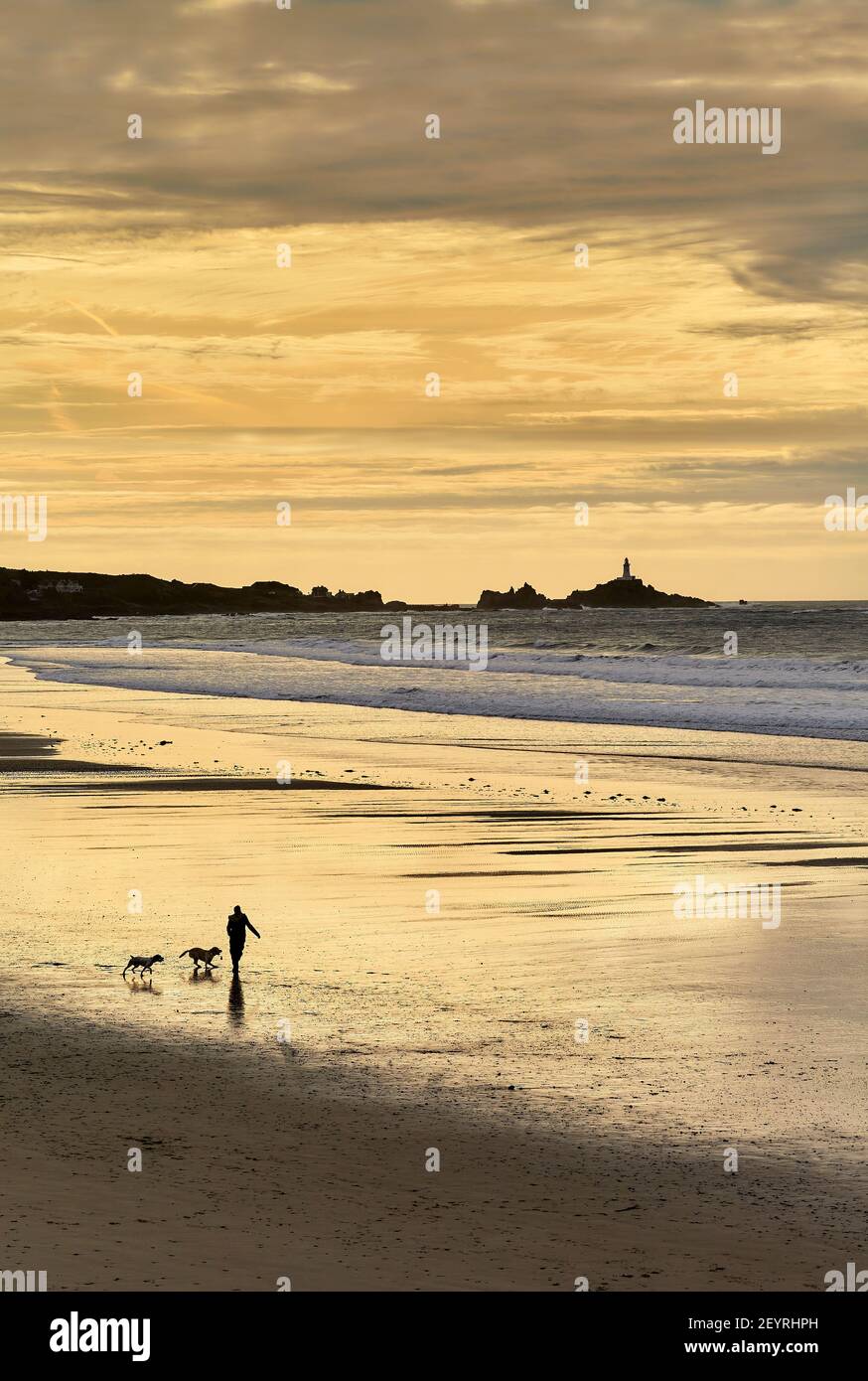 Marcheur pour chiens à St Ouens Bay, Jersey. C. I. Banque D'Images