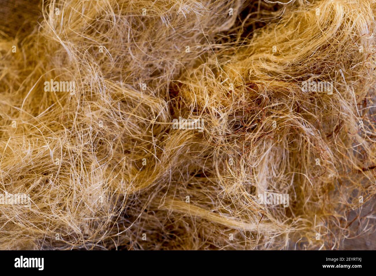 Filasse De Chanvre En 6 Lettres Filasse Banque de photographies et d'images à haute résolution - Alamy