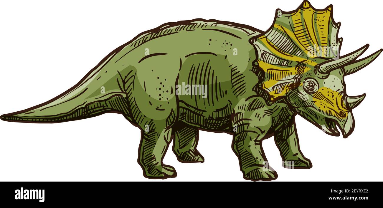 Triceratops dinosaure vert isolé avec corne. Dessin de vecteur dino, T. horridus avec frange épiccipital Illustration de Vecteur