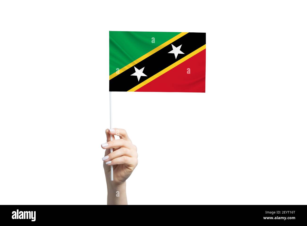 Belle main femelle tenant le drapeau de Saint-Kitts-et-Nevis, isolée sur fond blanc. Banque D'Images