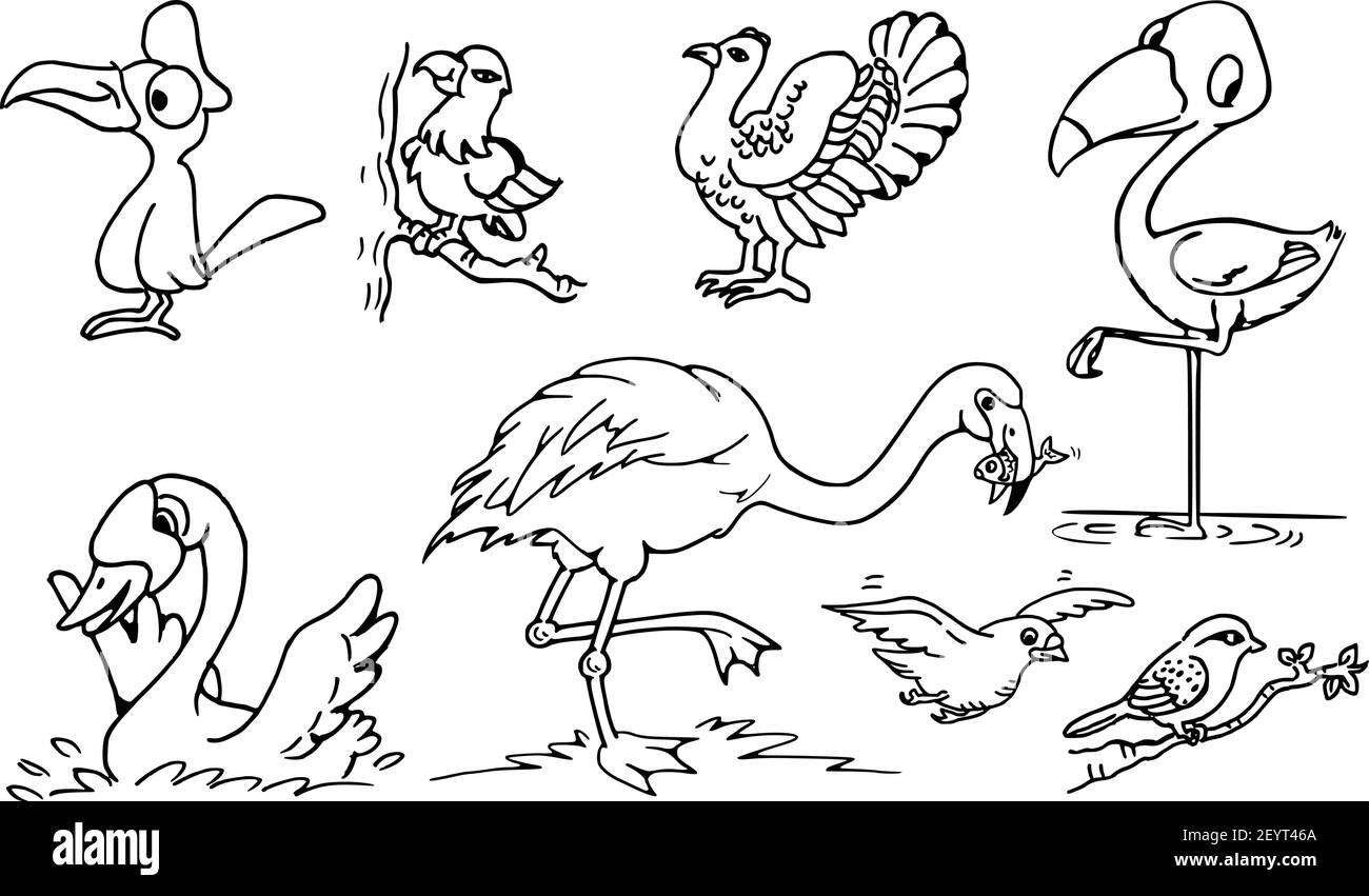 Jeu d'action d'oiseaux de dessin animé vectoriel Eagles, pics à bois, dindes, moineaux, grues, cygnes, Illustration de Vecteur