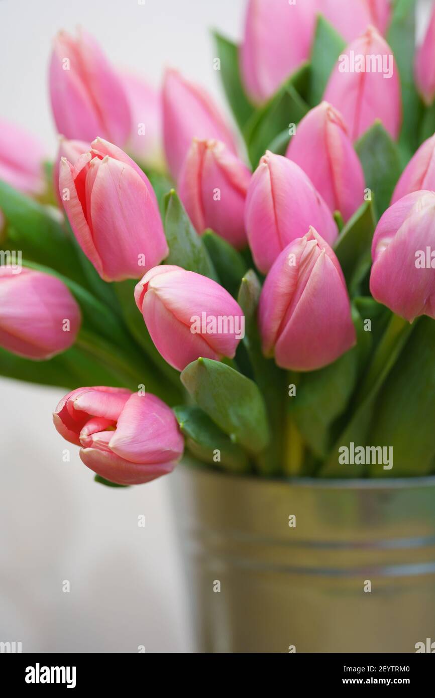 Bouquet de tulipes dans un seau en fer. Banque D'Images