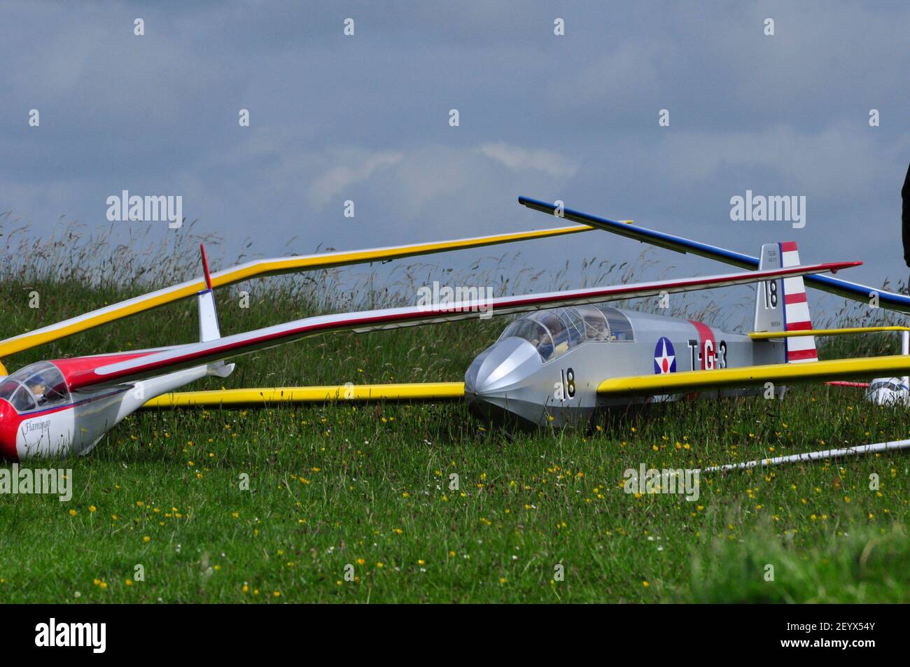 Une sélection de modèles de patins radiocommandés, en attente de leur vol de White Sheet Hill dans le Wiltshire. Banque D'Images