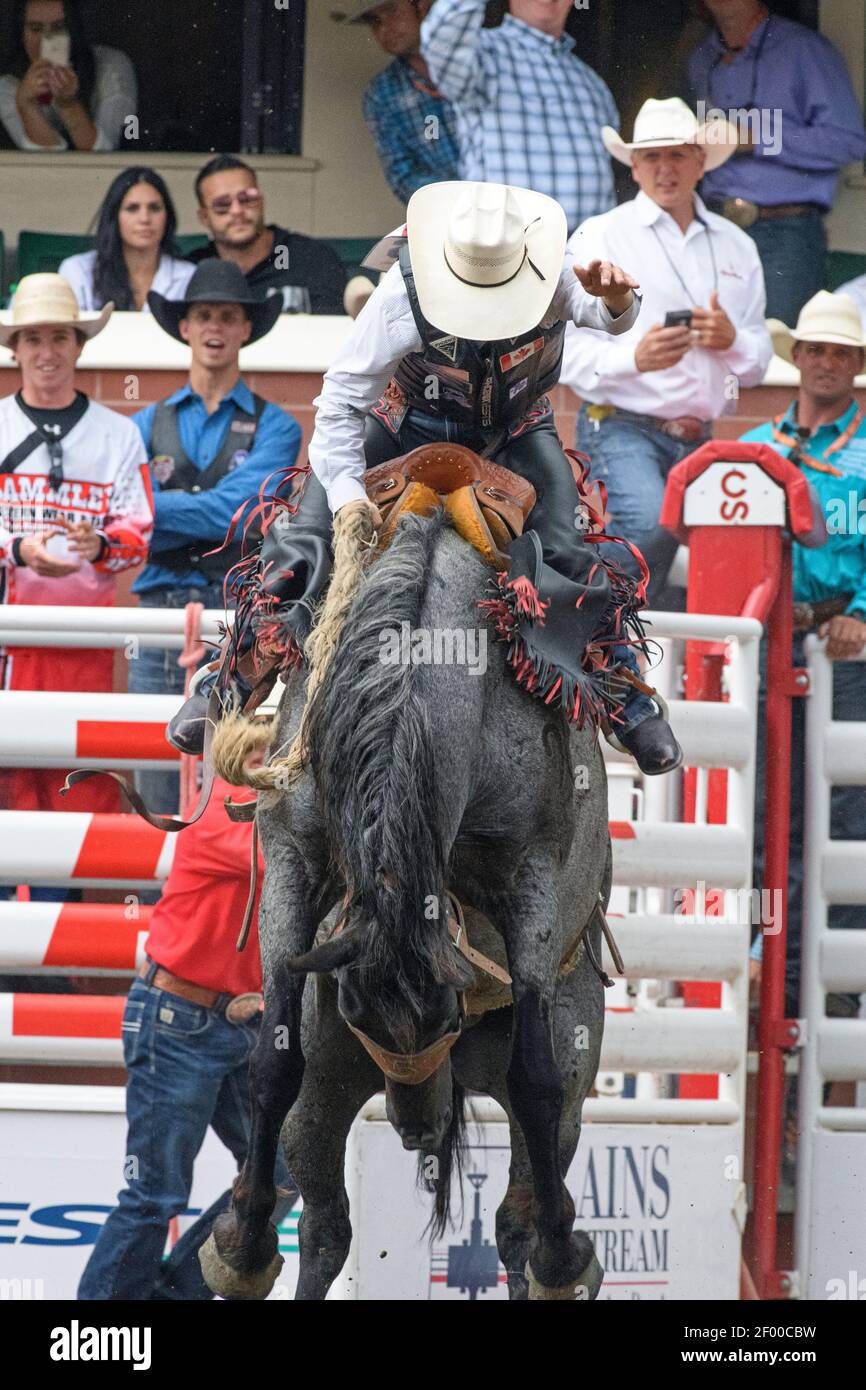 Saddle bronc événement au Calgary Stampede Rodeo Banque D'Images