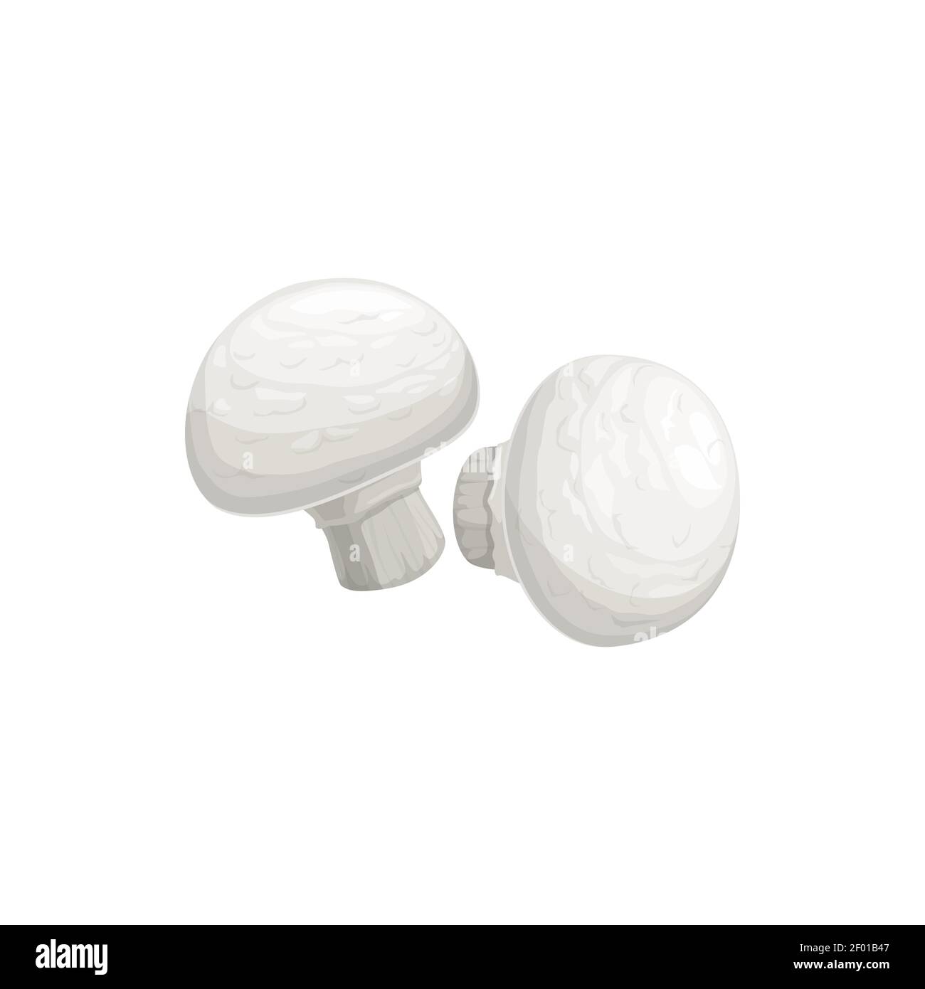 Deux champignons blancs ont isolé des champignons réalistes. Vecteur de table cultivé champaignon cremini ou crimini en 3D design. Champignons largement développés communs Illustration de Vecteur