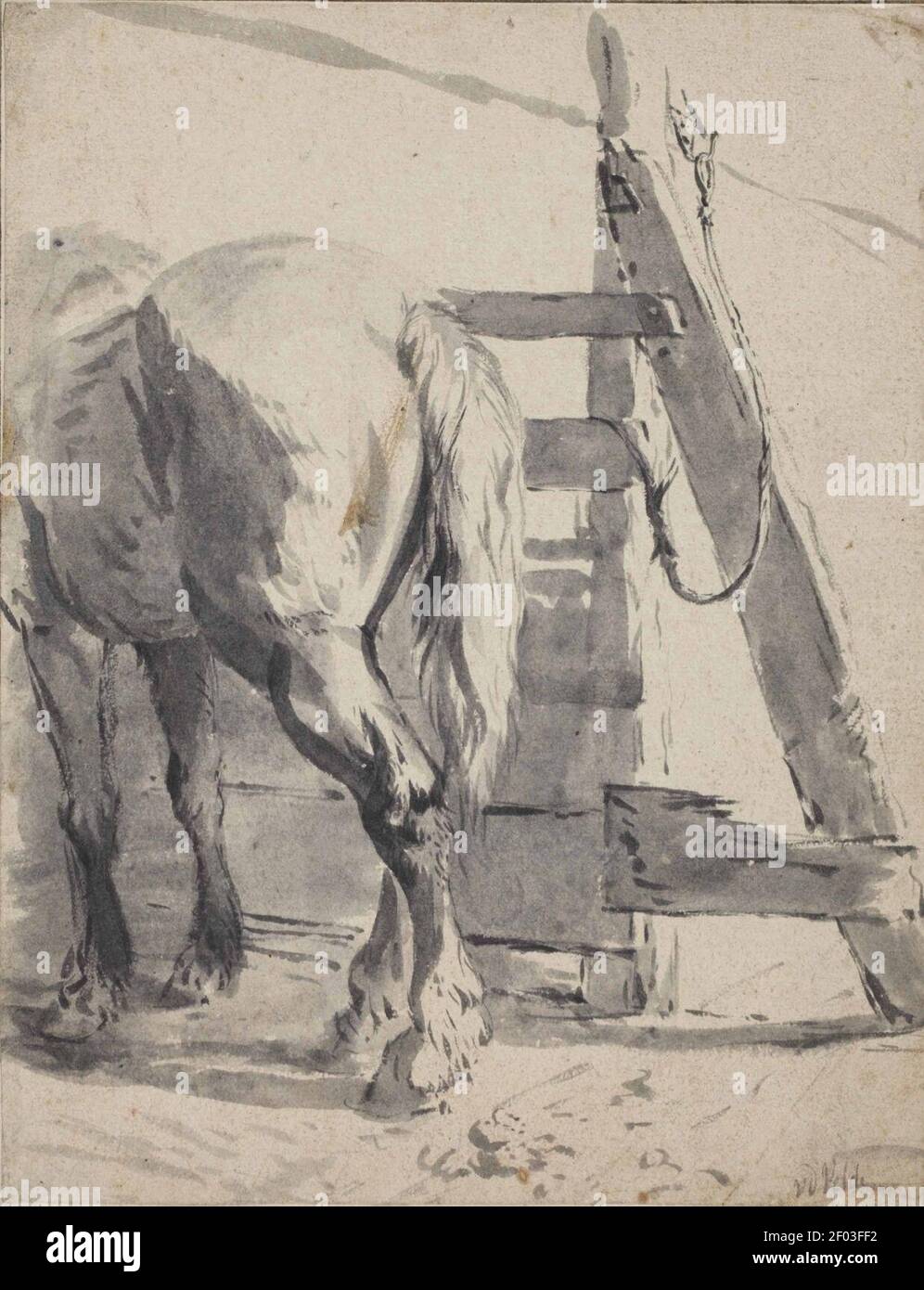 Pieter van Bloemen - UN cheval vu de derrière. Banque D'Images