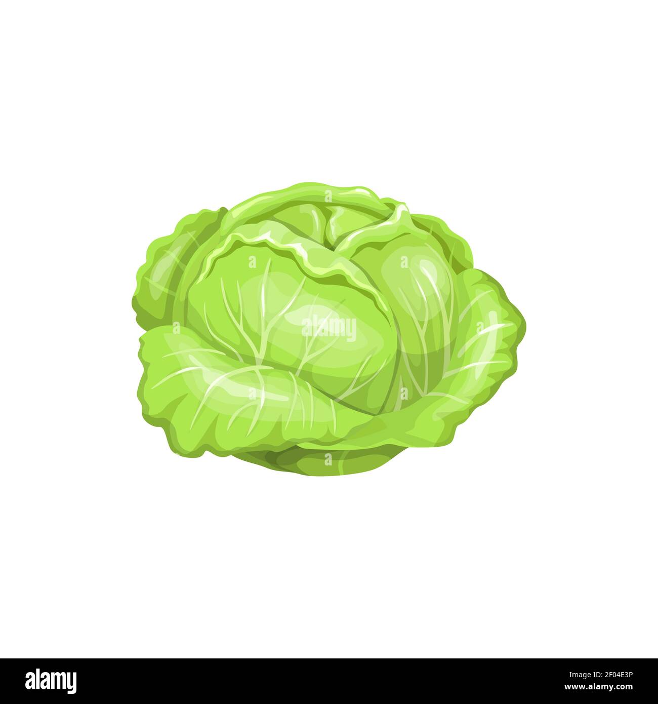 Tête de chou isolé légume vert cru alimentaire isolé icône. Les choux ...