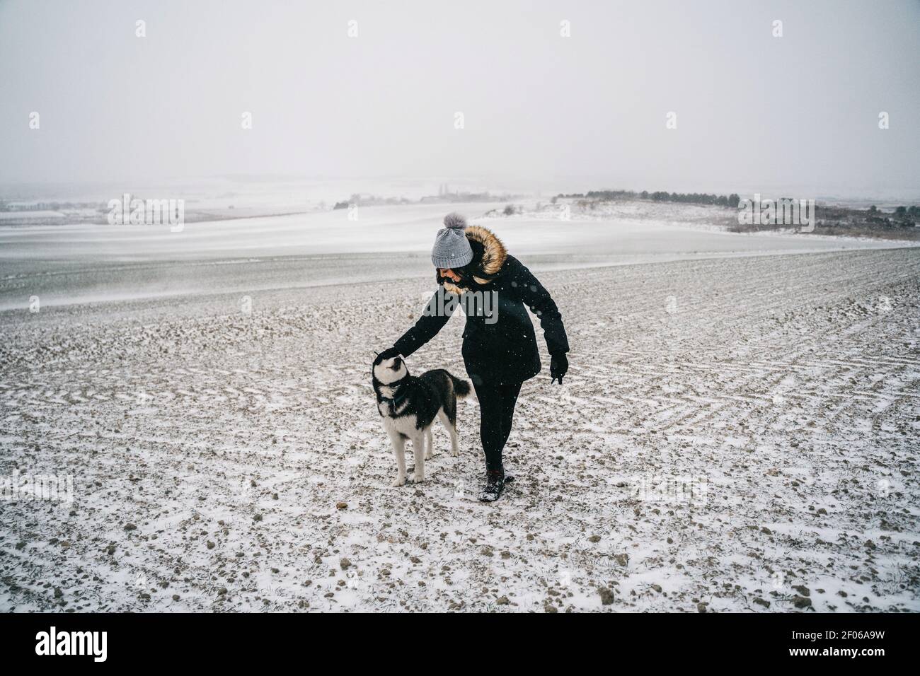 Tout le corps de la femme méconnaissable dans des vêtements chauds petant obéissant chien husky en se promenant sur un terrain enneigé en hiver dans la campagne sous le clo gris Banque D'Images