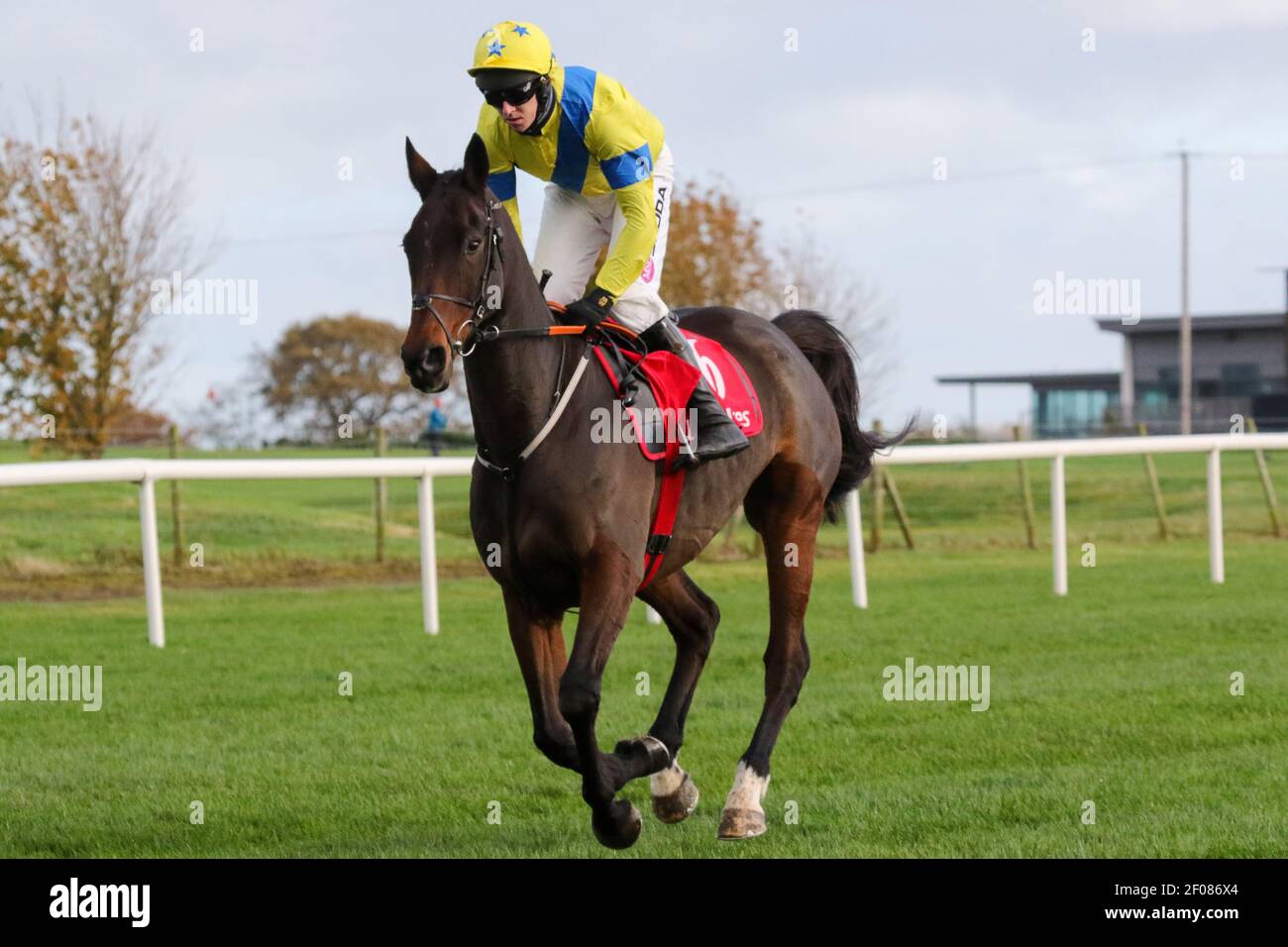 Courses hippiques au Royaume-Uni et en Irlande.Down Royal Racecourse, Lisburn, Irlande du Nord. 31 octobre 2020. Réunion nationale de chasse. La course du Ladbrokes Festival of Racing (2e jour) a été la course de Ladbrokes Champion Chase (Grade 1) avec 75,000 € pour le gagnant et tenue derrière des portes fermées. Cheval de course Ravenhill, monté par Mark Walsh et entraîné par Gordon Elliott. Banque D'Images