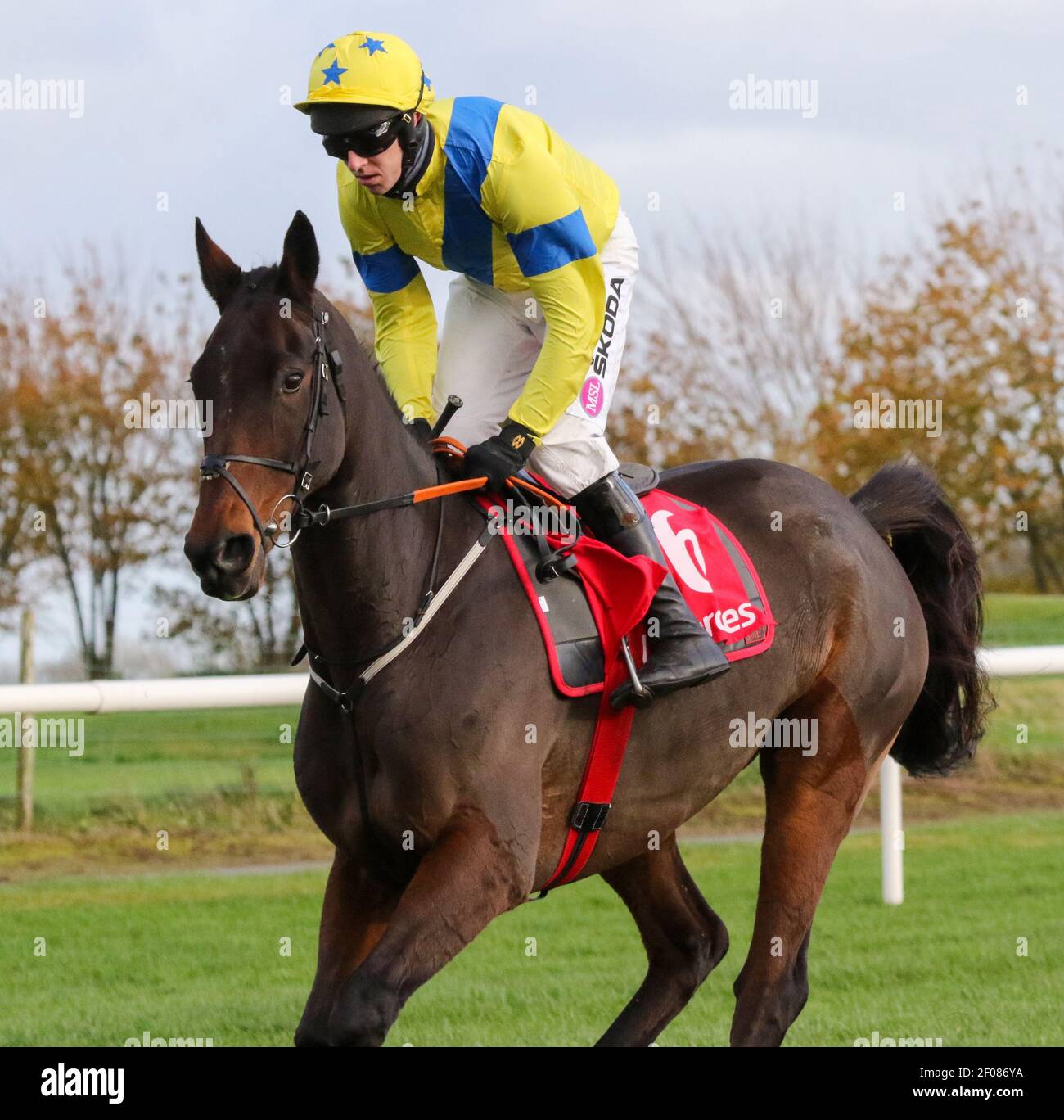 Courses hippiques au Royaume-Uni et en Irlande.Down Royal Racecourse, Lisburn, Irlande du Nord. 31 octobre 2020. Réunion nationale de chasse. La course du Ladbrokes Festival of Racing (2e jour) a été la course de Ladbrokes Champion Chase (Grade 1) avec 75,000 € pour le gagnant et tenue derrière des portes fermées. Cheval de course Ravenhill, monté par Mark Walsh et entraîné par Gordon Elliott. Banque D'Images