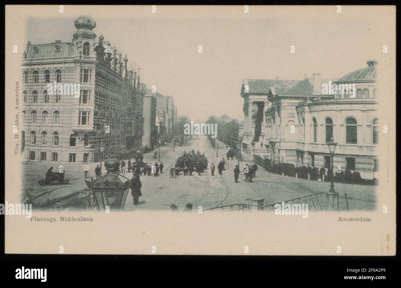 Plantage Middenlaan met Links de Plantage Muidergracht en rechts het aquarium van Artis. Uitgave H. Sikkes, Amsterdam, Banque D'Images