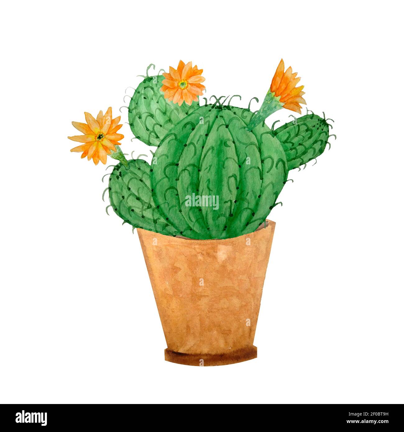 Cactus aquarelle succulent dans un pot en céramique. Maison en pot vert  plantes naturelles exotiques fleurs tropicales. Décoration intérieure  illustration botanique imprimé de design dynamique Photo Stock - Alamy