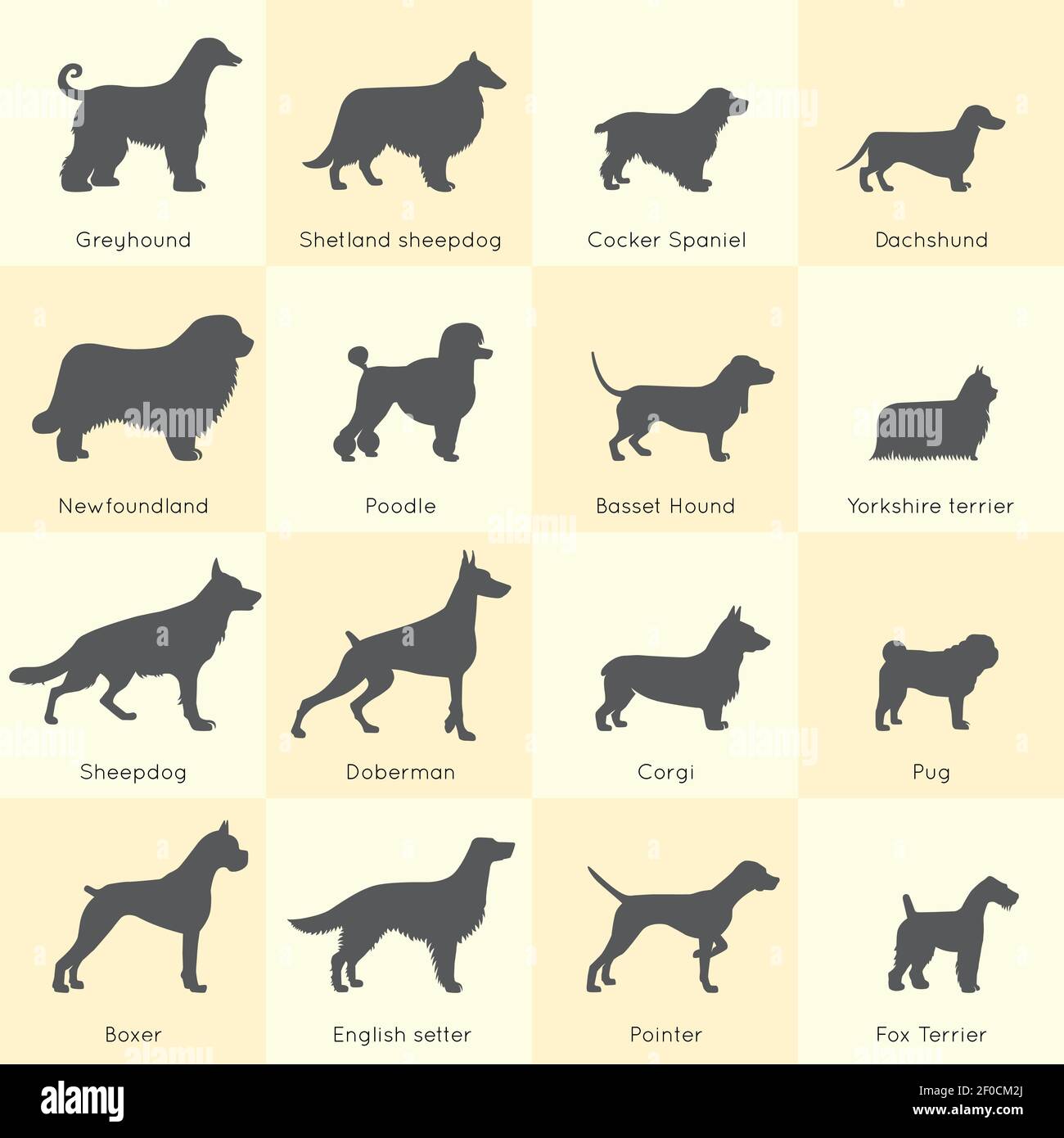 Silhouettes de différents chiens races Icon Set avec une description détaillée de l'apparence et de l'illustration du vecteur de caractère Illustration de Vecteur