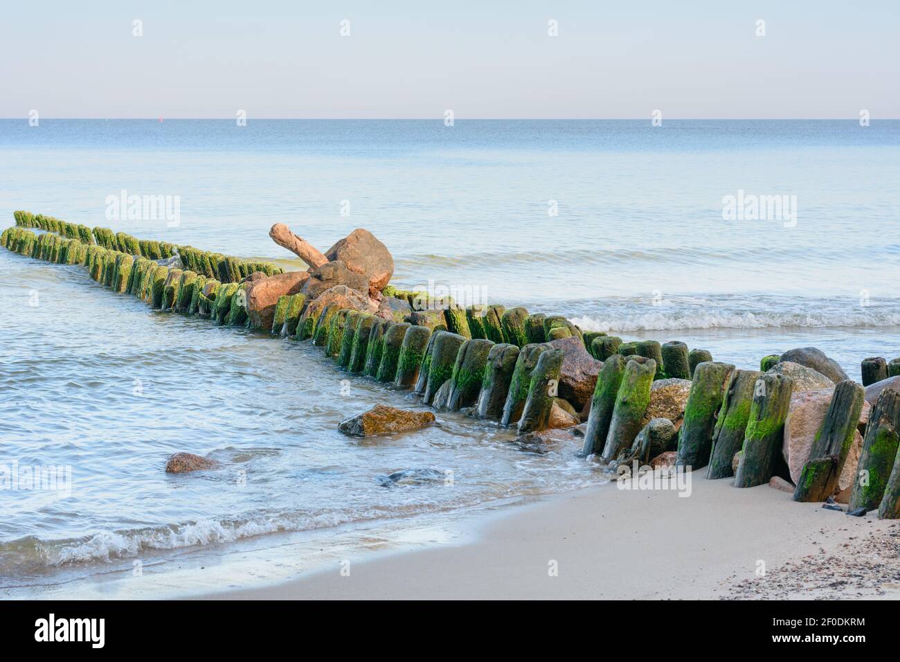 Côte de la mer Baltique en soirée. Grand vieux brise-lames, piles en bois recouvertes d'algues vertes. Magnifique paysage marin. Mise au point sélective. Banque D'Images