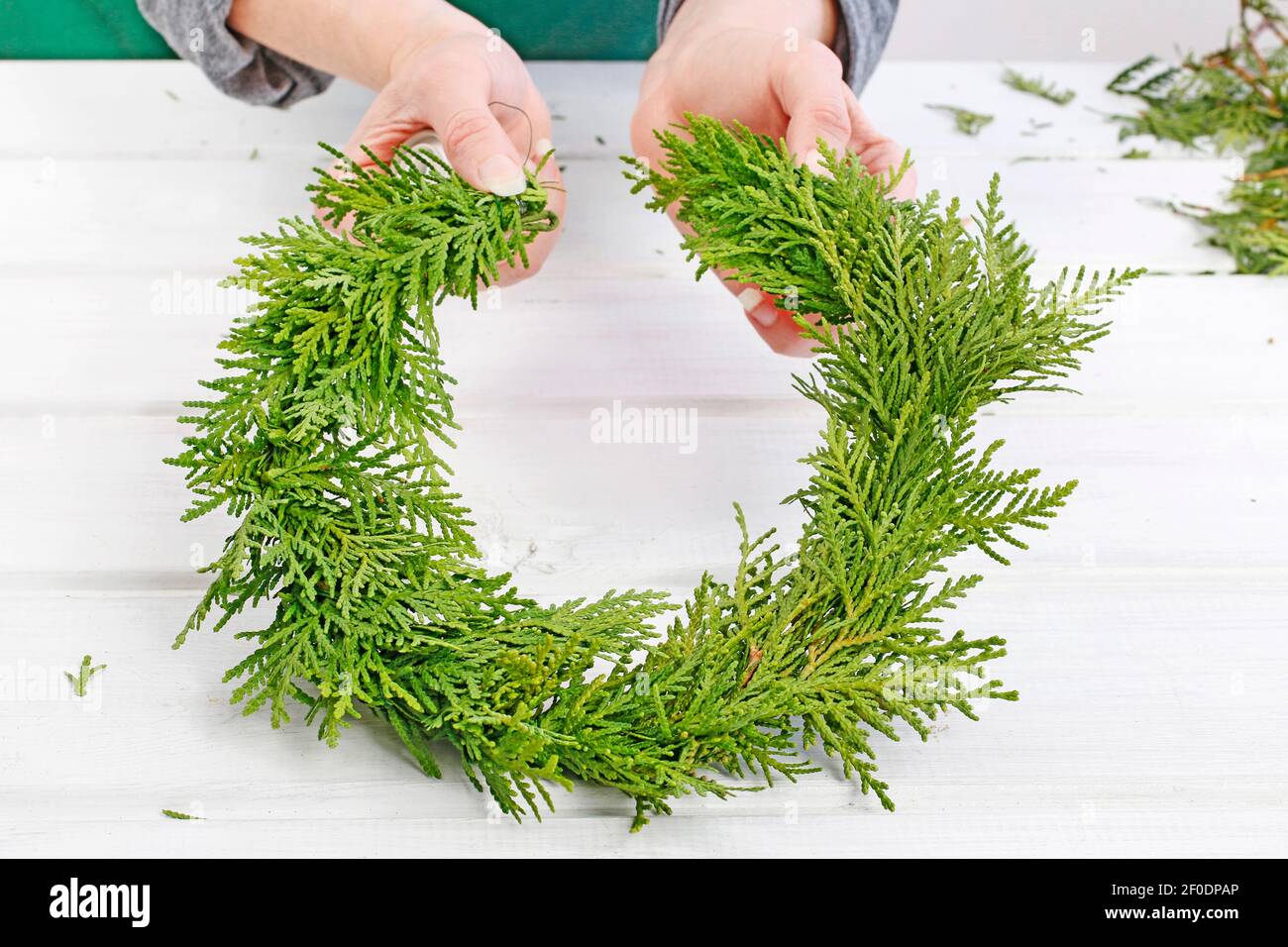 Fleuriste au travail: Comment faire des couronnes de porte de noël traditionnelles avec des brindilles de thuja. Étape par étape, tutoriel. Banque D'Images