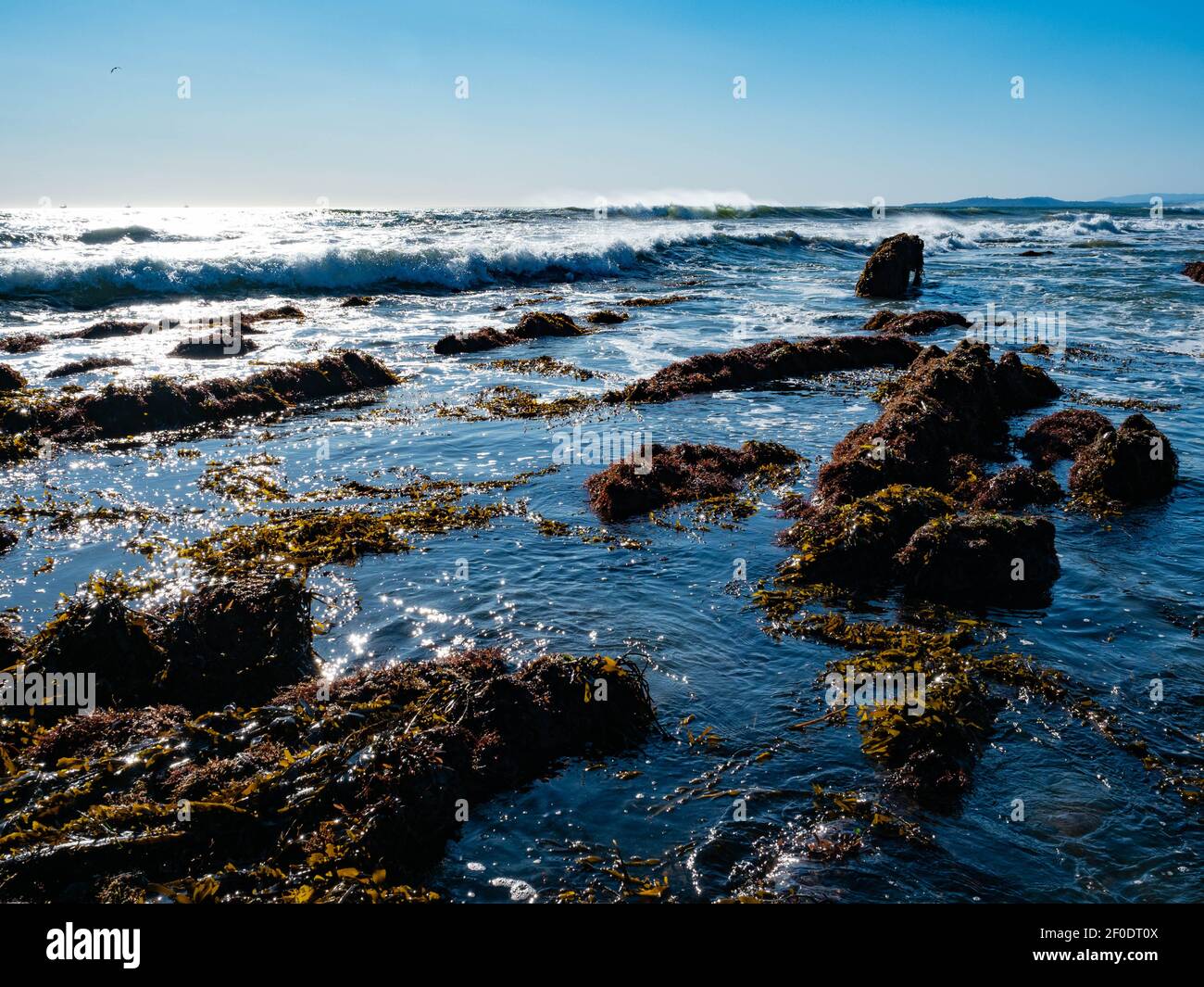 Vagues, varech et rochers dans la zone intertidale de Tar Pits Beach à Carpinteria Californie par une journée ensoleillée. Banque D'Images