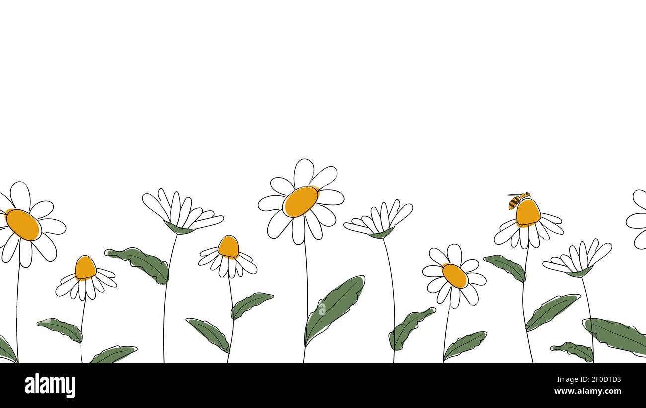 Bordure sans couture de pâquerettes dessinées à la main dans un dessin animé simplifié pour enfants Style naïf sur fond blanc.petite abeille assise sur fleur.pour le design du site web Banque D'Images