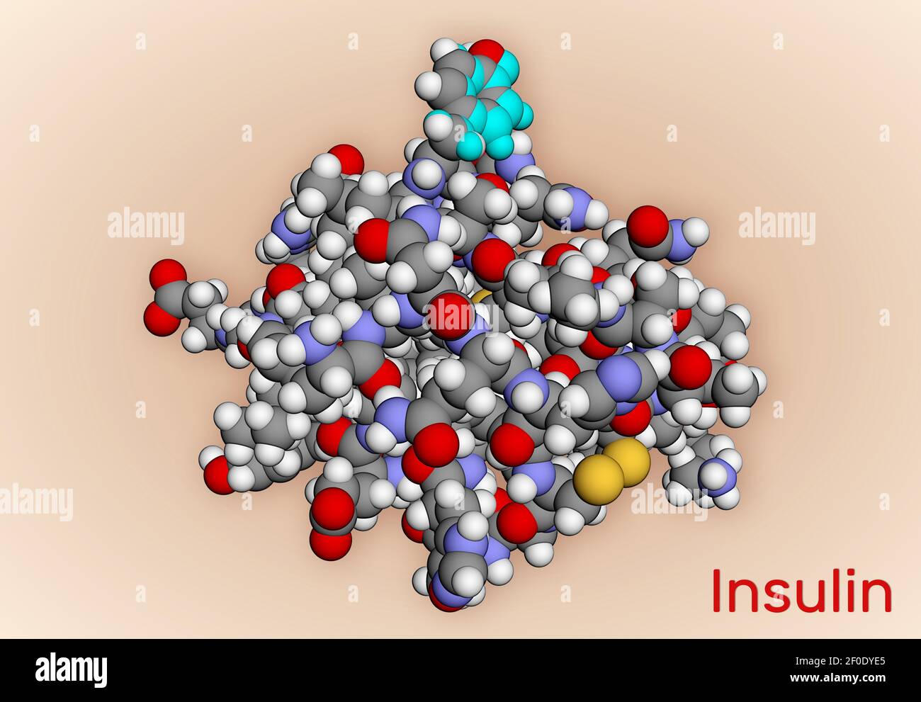 Mol cule D insuline Humaine C est L hormone Peptidique Produite Par mol-cule-d-insuline-humaine-c-est-l-hormone-peptidique-produite-par