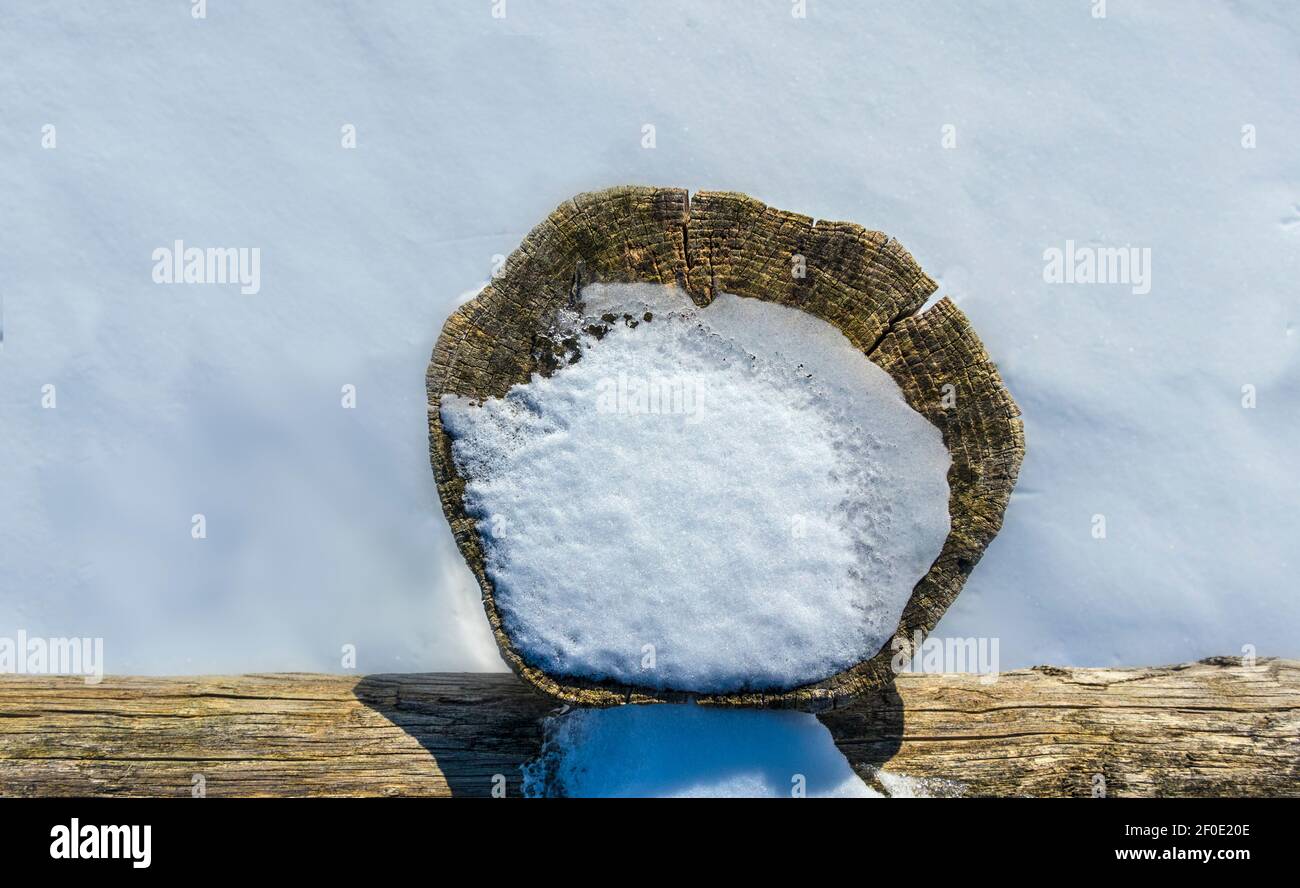 SCIENCE, PHYSIQUE, le soleil chauffe le bois sur lequel repose la neige. Le bois chaud fait fondre la neige. La lumière du soleil passe la neige sans entrave. Banque D'Images