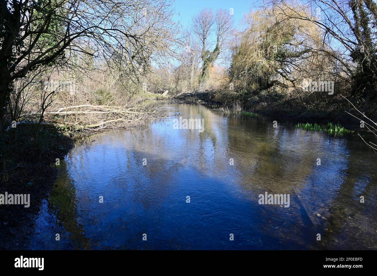 River Cray, Foots Cray Meadows, Sidcup, Kent. ROYAUME-UNI Banque D'Images