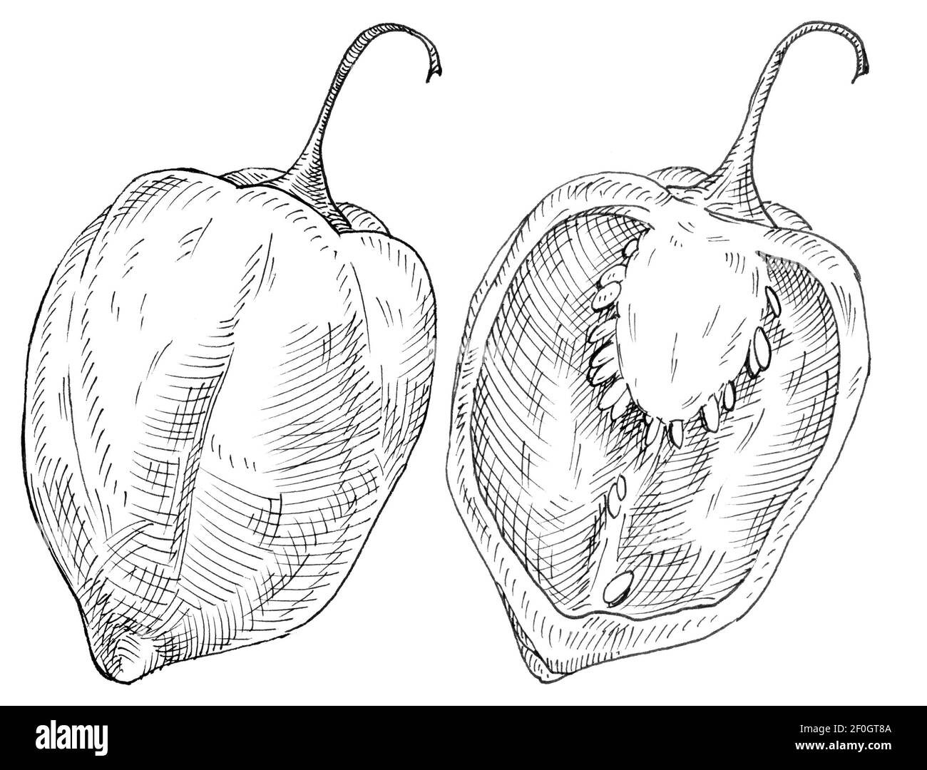Habanero entier et demi-poivron. Illustration monochrome gris à hachurage vintage. Isolé sur fond blanc. Dessin à la main Banque D'Images