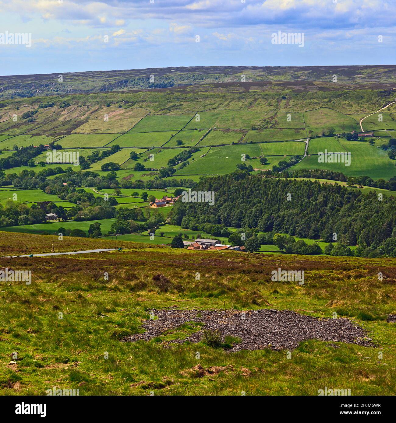 Vue de la vallée de l'Farndale North York Moors, England, UK Banque D'Images