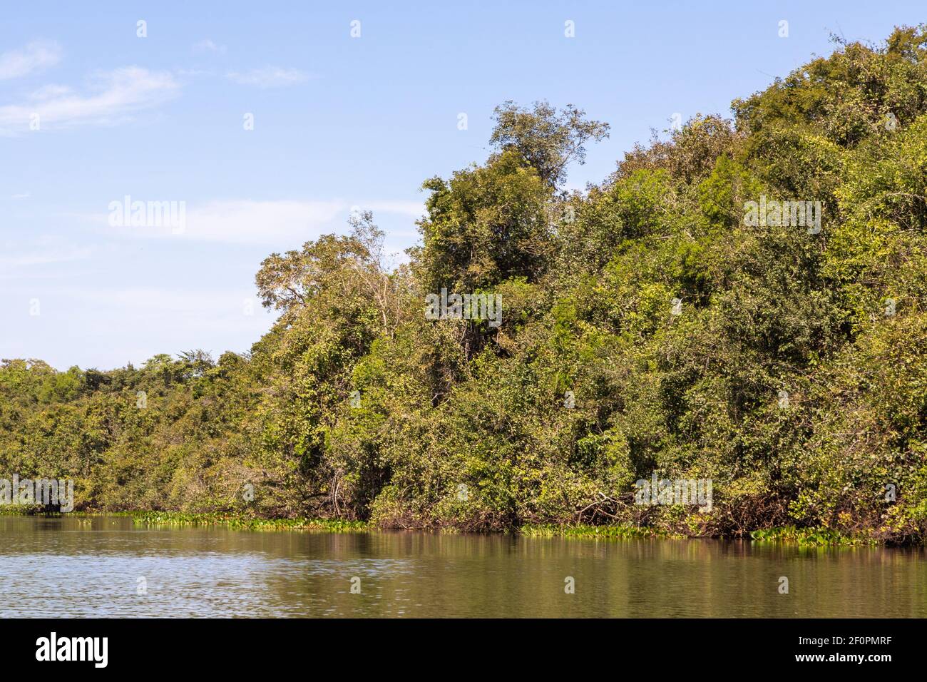 Le beau Rio Claro dans le nord du Pantanal à Mato Grosso, Brésil Banque D'Images