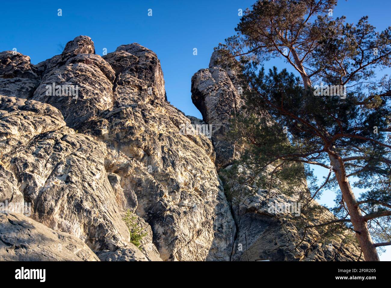 Allemagne, Saxe-Anhalt, Timmenrode, Hambourg armoiries, partie du mur du diable dans les montagnes du Harz. Banque D'Images