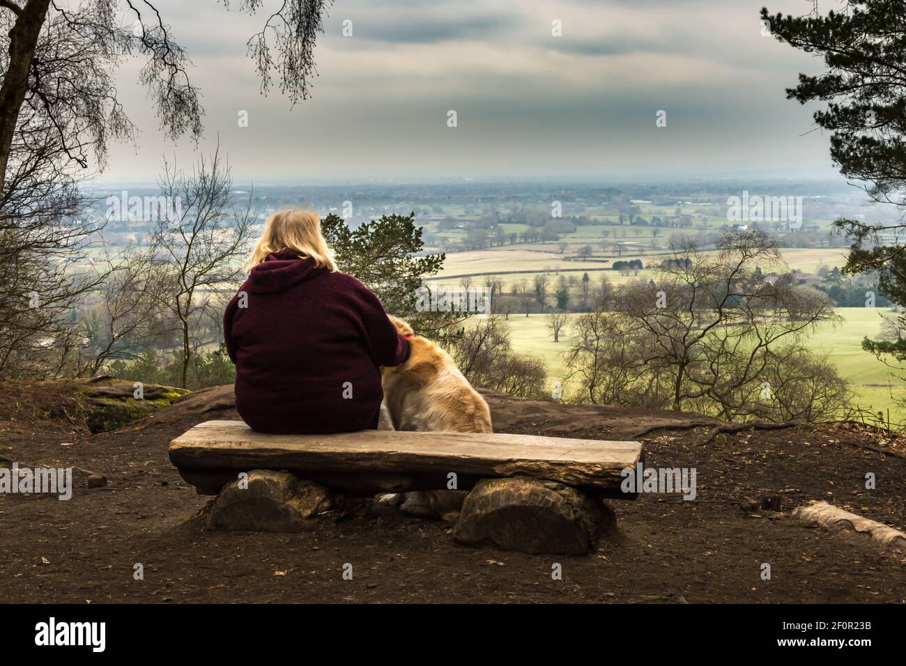 Banc Woodland donnant sur une vue panoramique depuis Alderley Ciel sombre de bord et prairie femme prenant dans la vue avec un retriever d'or Banque D'Images