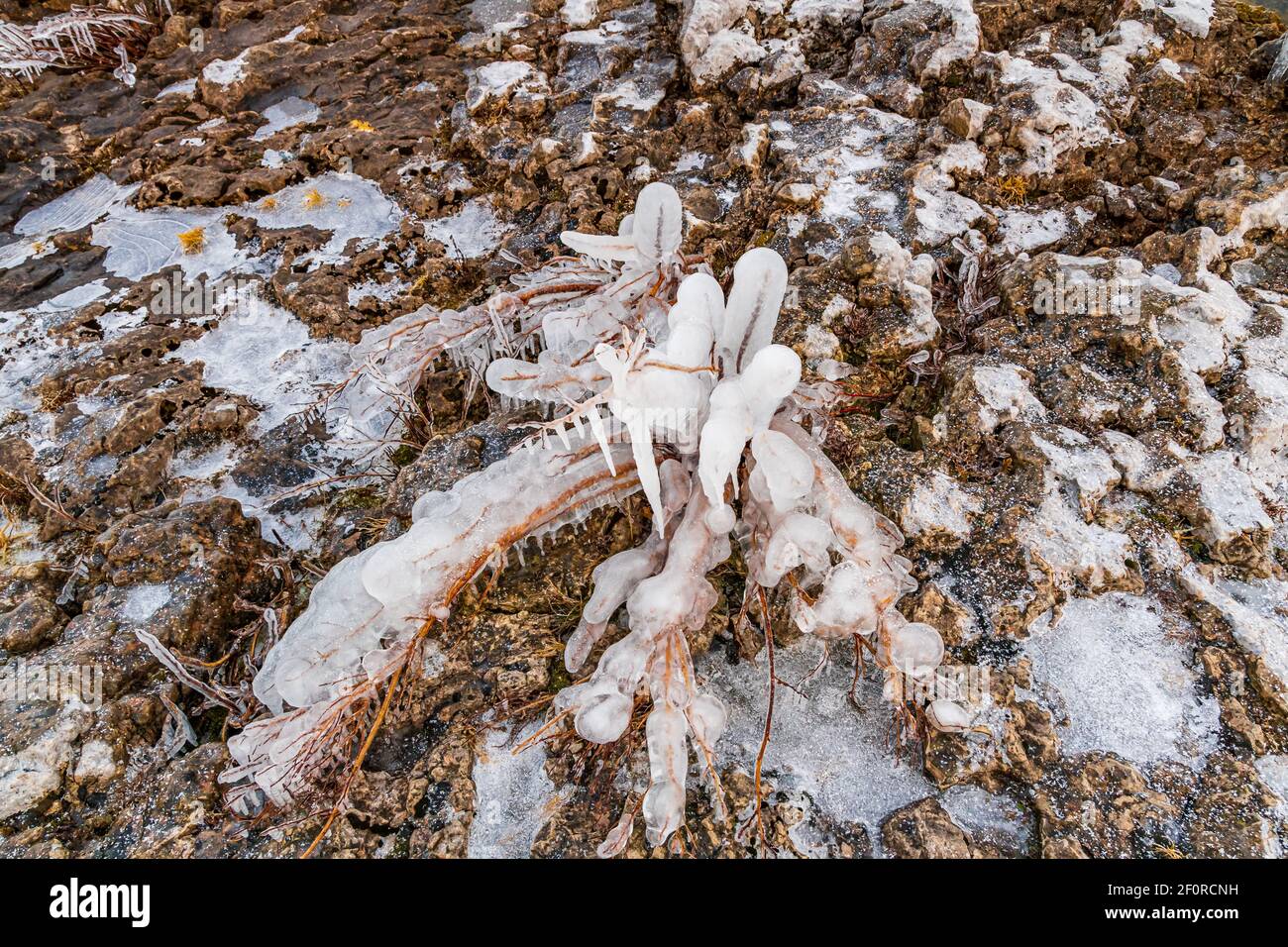 Parc national Fathom Five Comté de Grey Sauble Péninsule-Bruce Ontario Canada Banque D'Images
