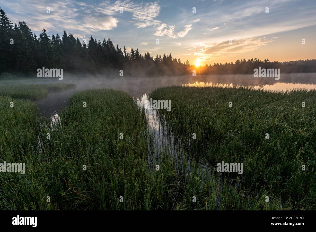 Lac Moor au lever du soleil avec brume matinale, Etang de la Gruere, canton du Jura Suisse Banque D'Images