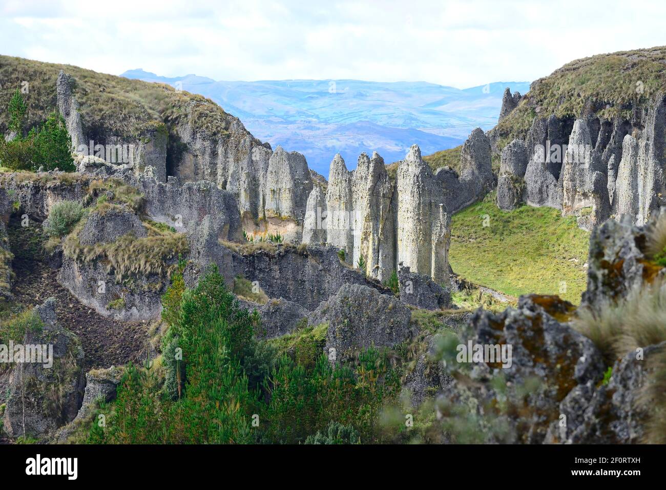 Formations rocheuses dans la forêt de pierres, Cumbe Mayo, province de Cajamarca, Pérou Banque D'Images