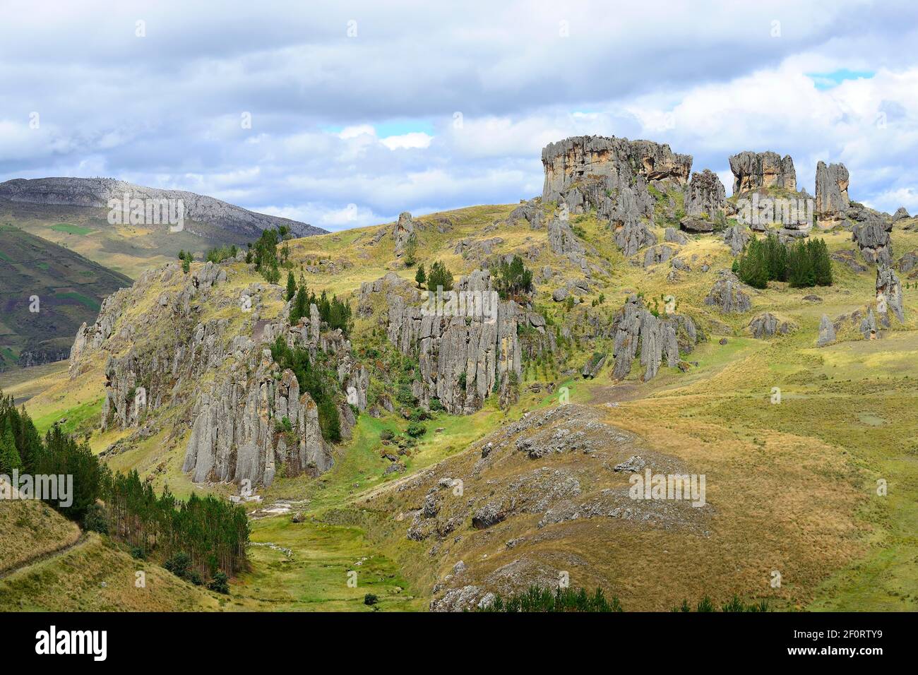 Formations rocheuses dans la forêt de pierres, Cumbe Mayo, province de Cajamarca, Pérou Banque D'Images